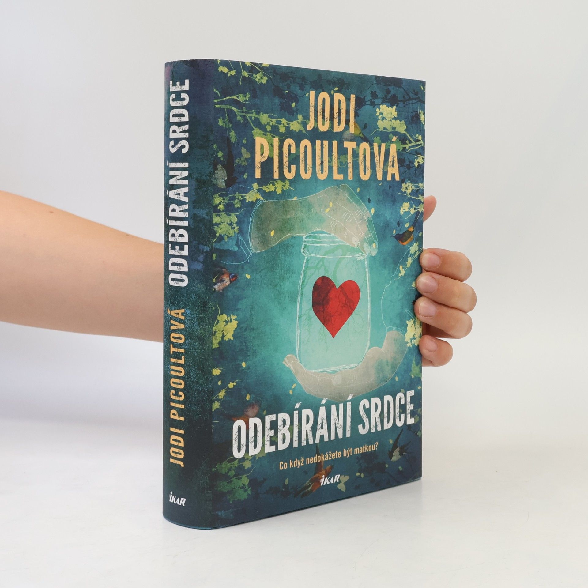 Jodi Picoult Odebírání srdce