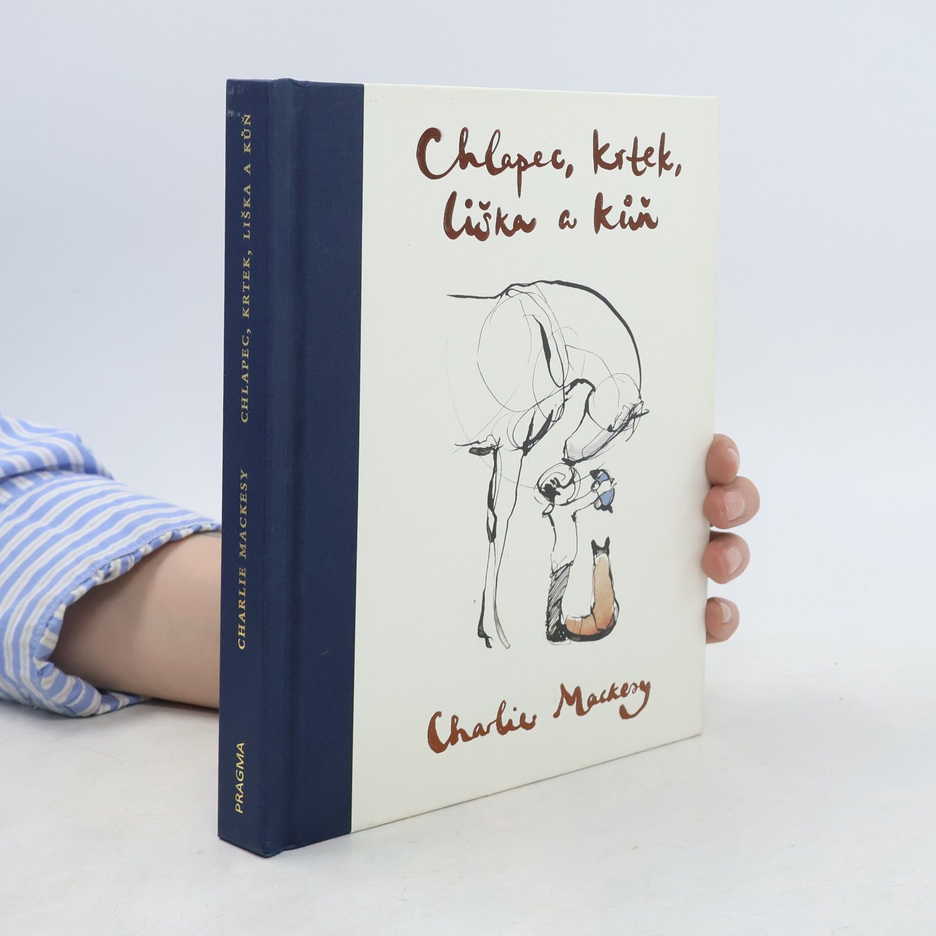 Charlie Mackesy Chlapec, krtek, liška a kůň