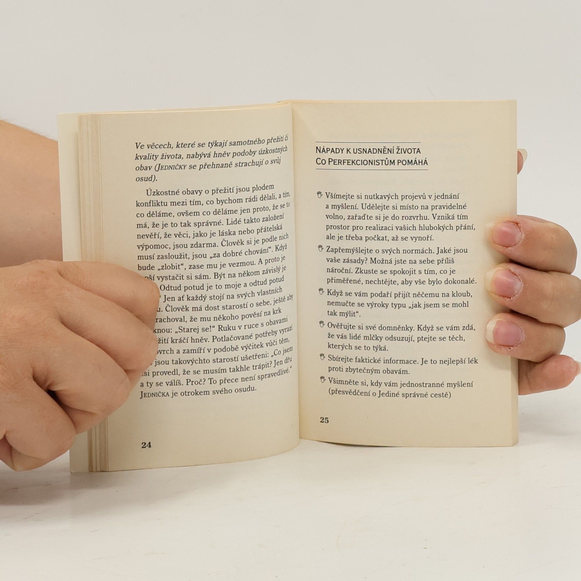 Helen Palmer Kapesní enneagram. To podstatné o devíti tvářích duše