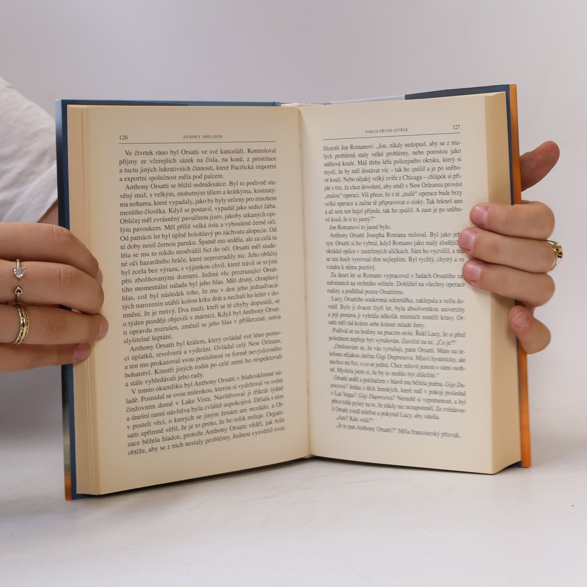 Sidney Sheldon Pokud přijde zítřek