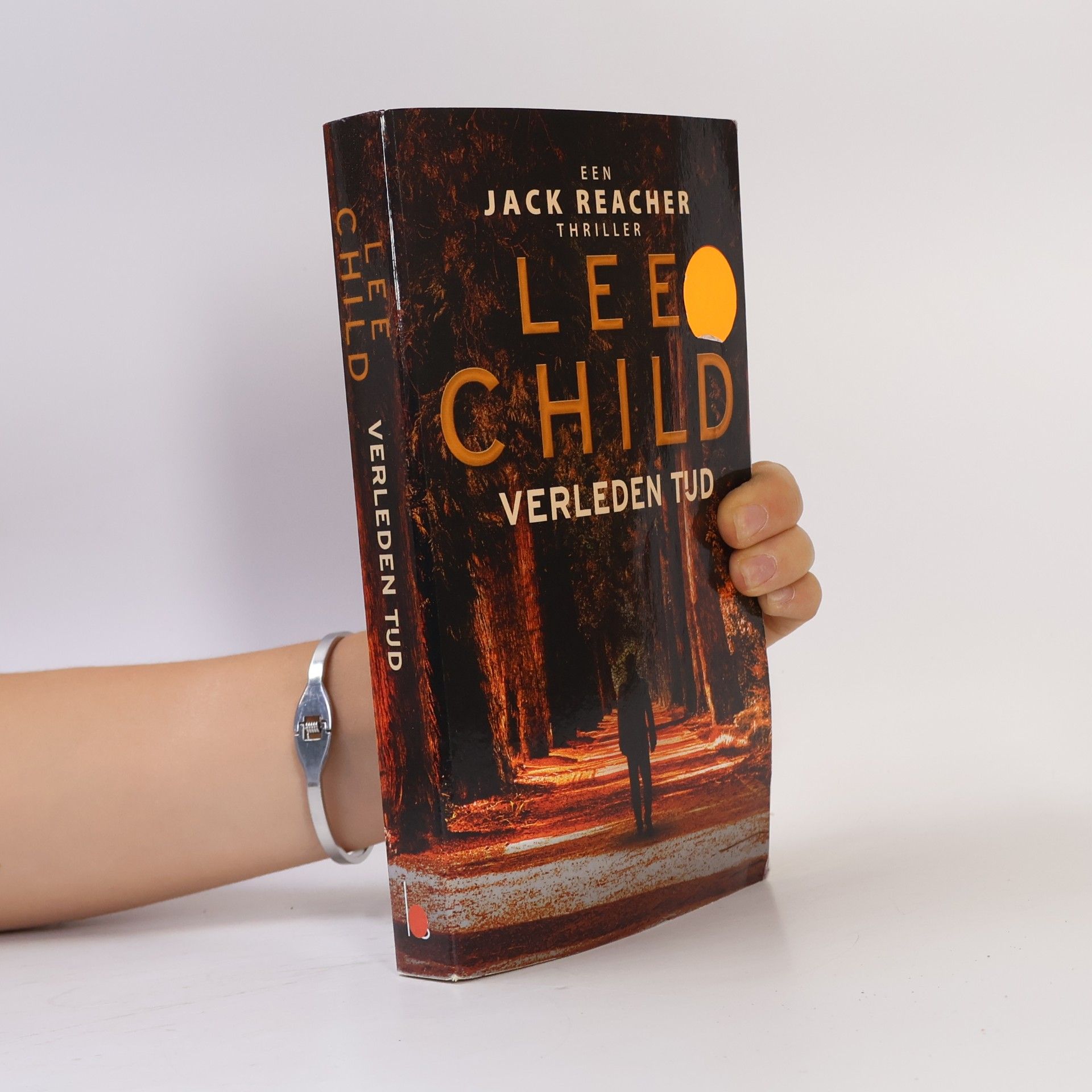 Lee Child Jack Reacher - 23: Verleden tijd (Special Reefman 2022)