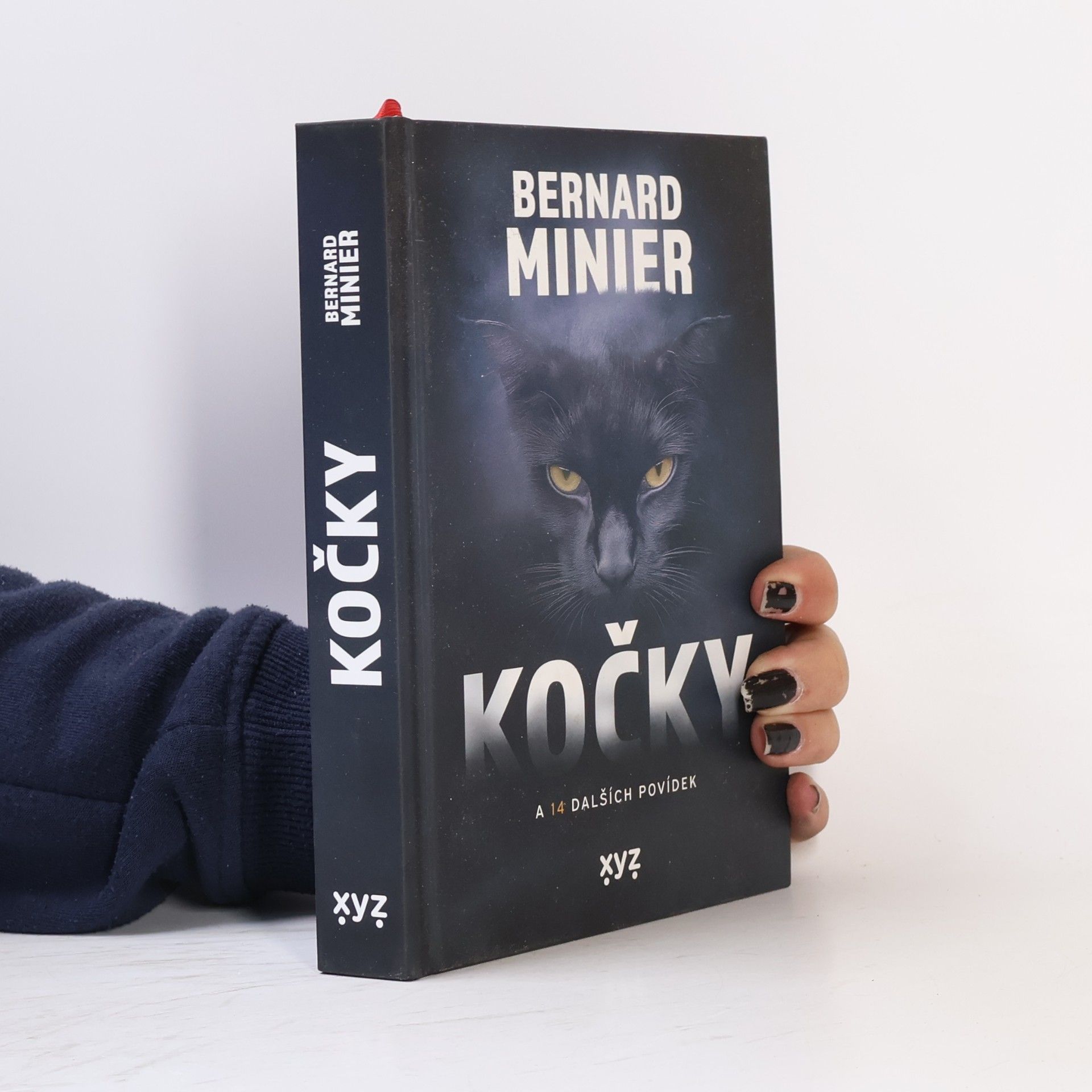 Bernard Minier Kočky