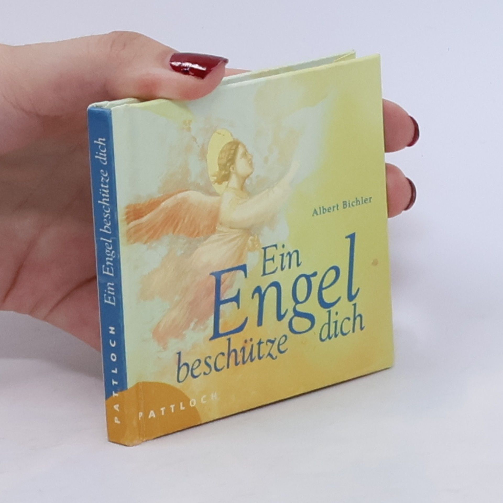 Albert Bichler Ein Engel beschütze dich