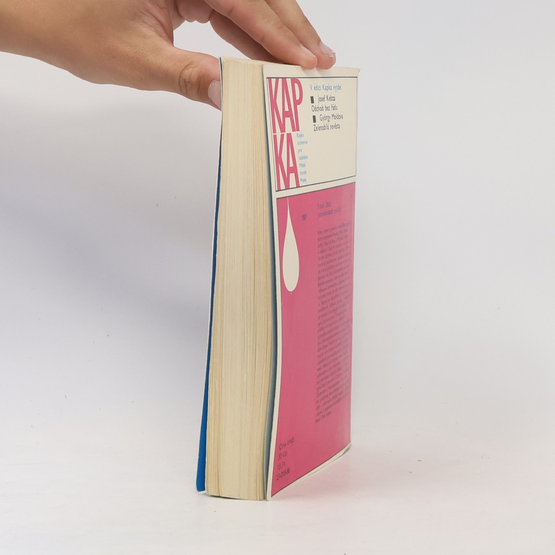 Roald Dahl Jedenadvacet polibků