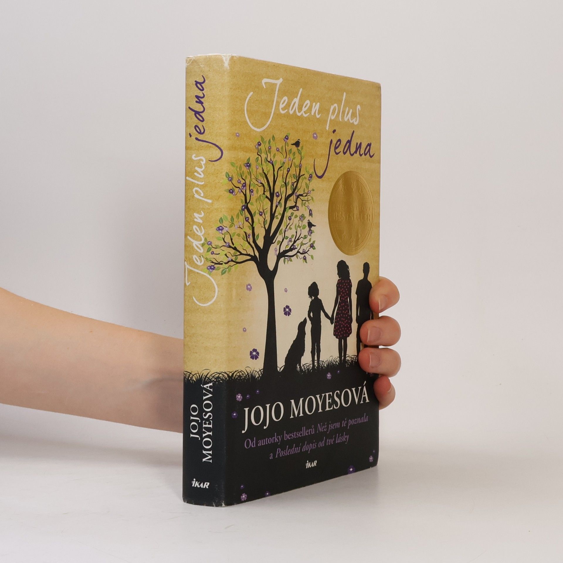 Jojo Moyes Jeden plus jedna