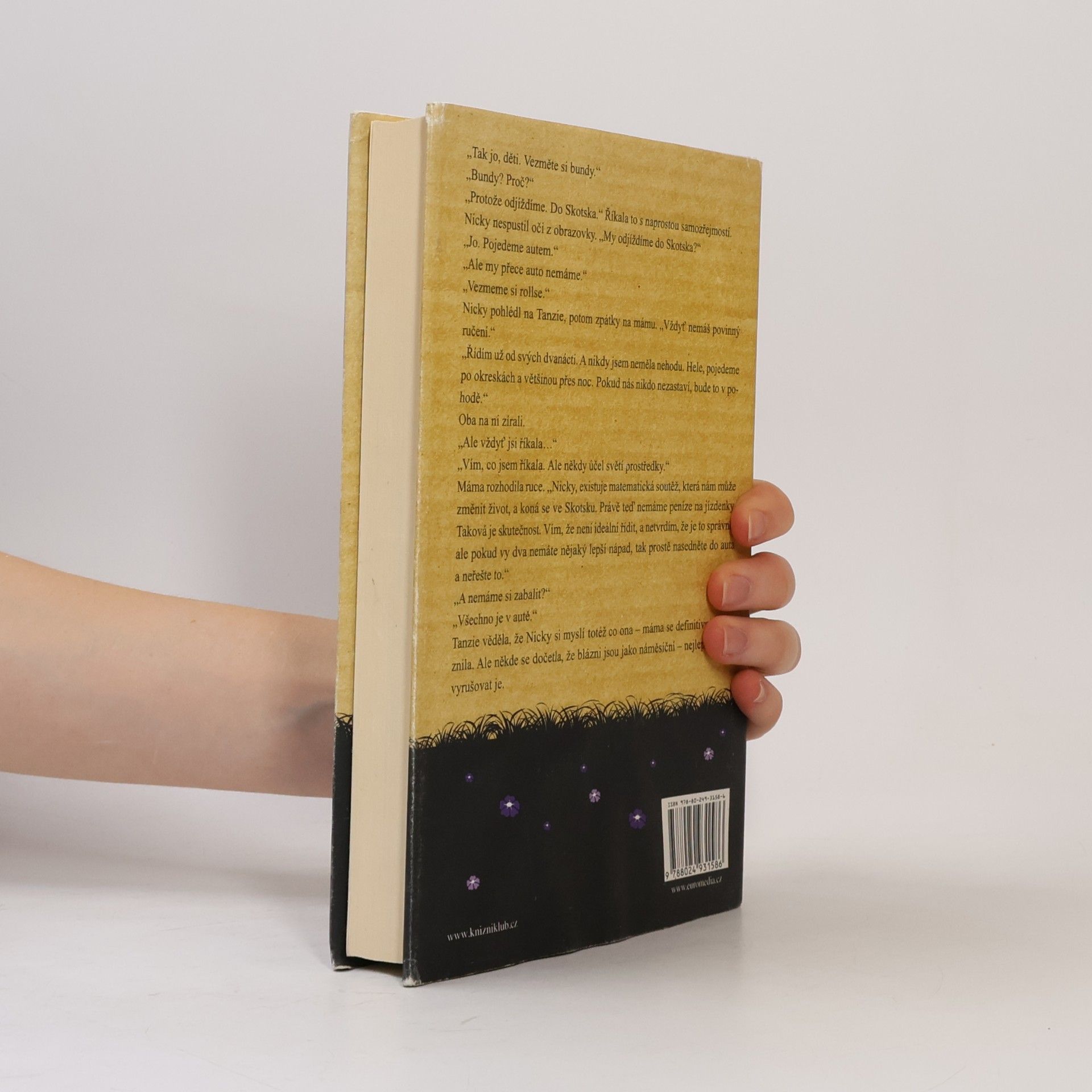 Jojo Moyes Jeden plus jedna