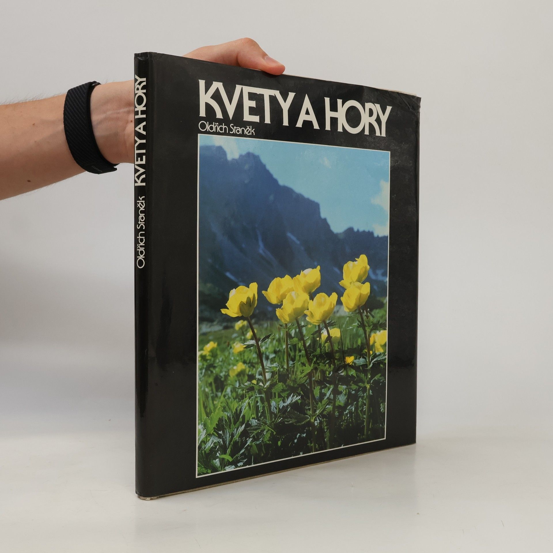 Oldřich Staněk Kvety a hory