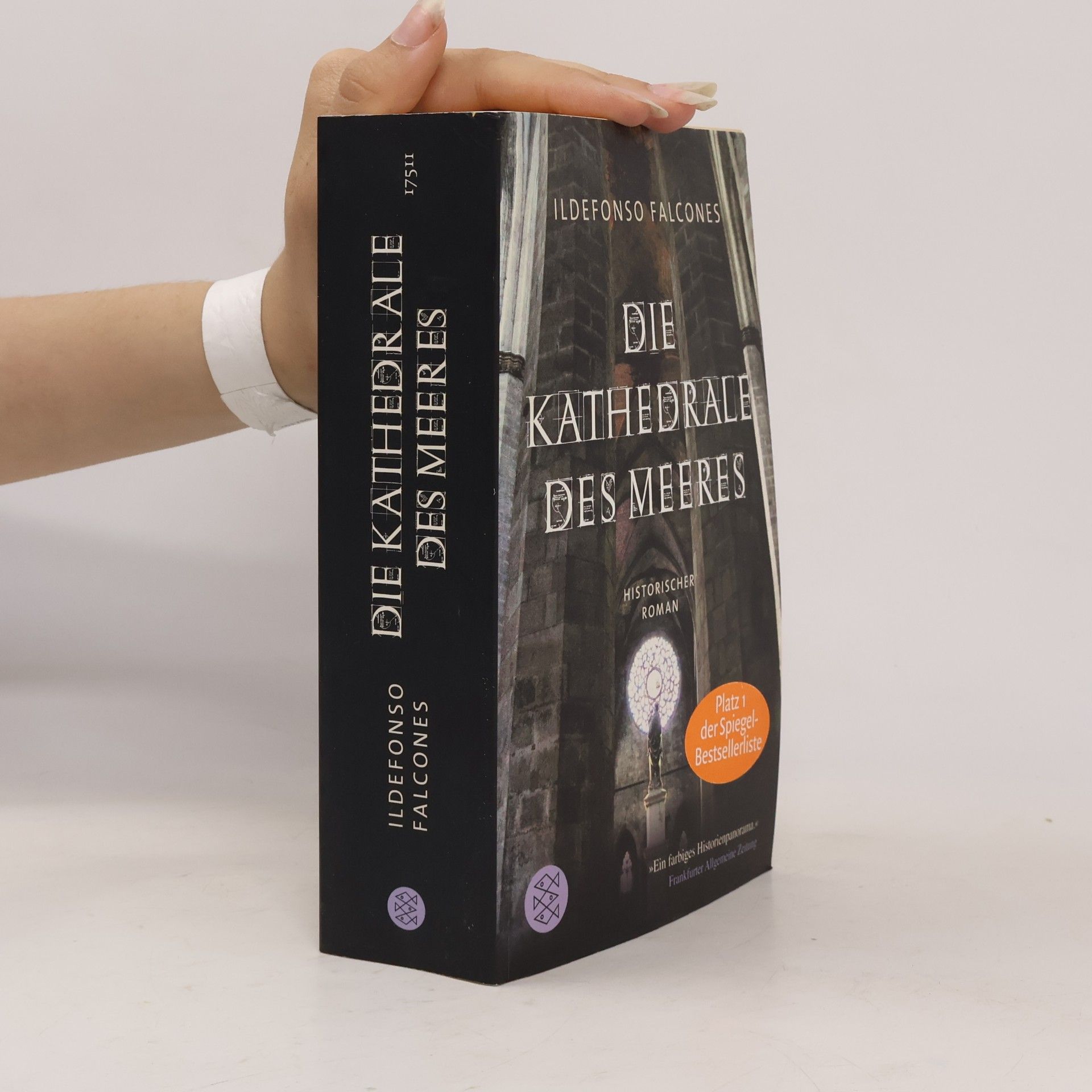 Ildefonso Falcones Die Kathedrale des Meeres