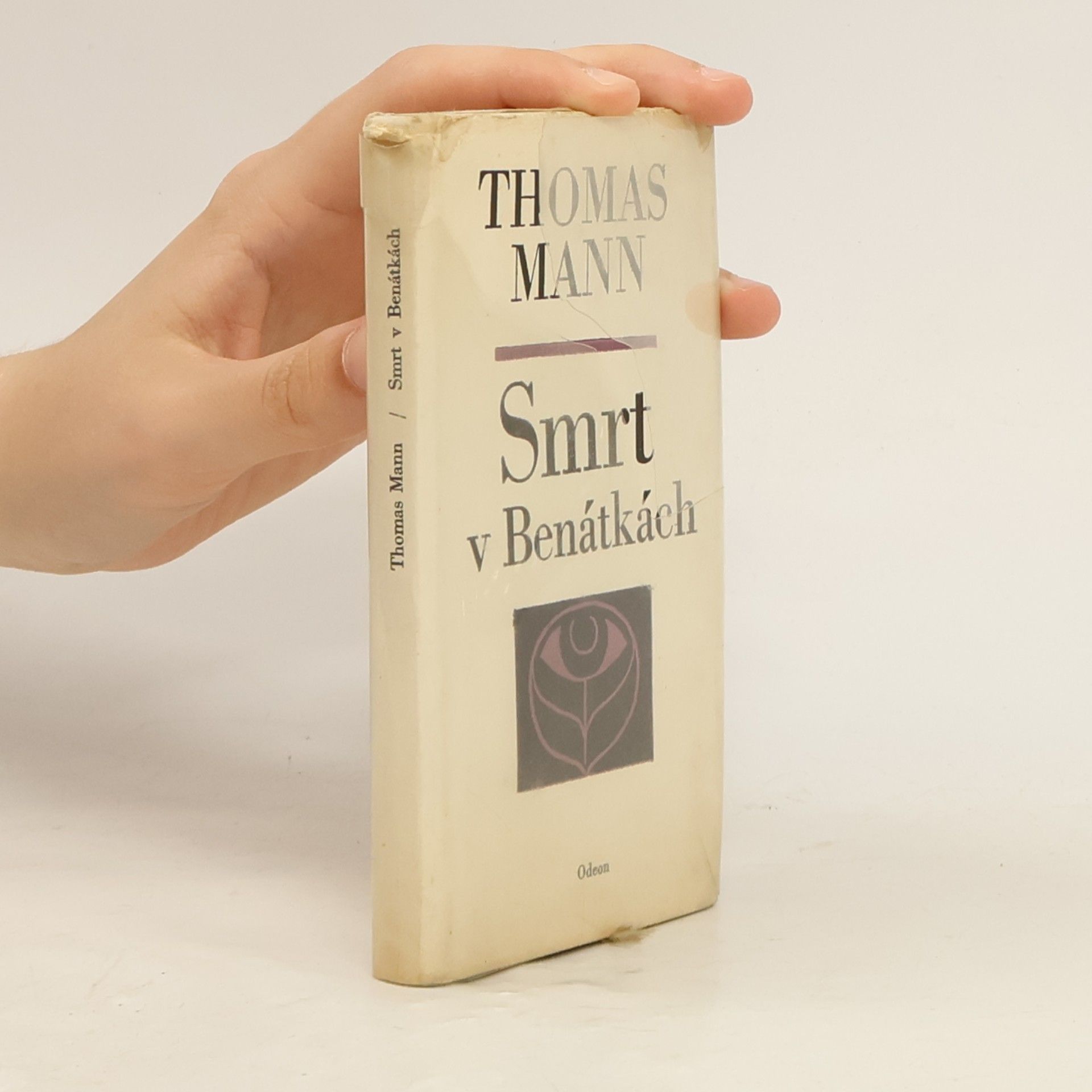 Thomas Mann Smrt v Benátkách
