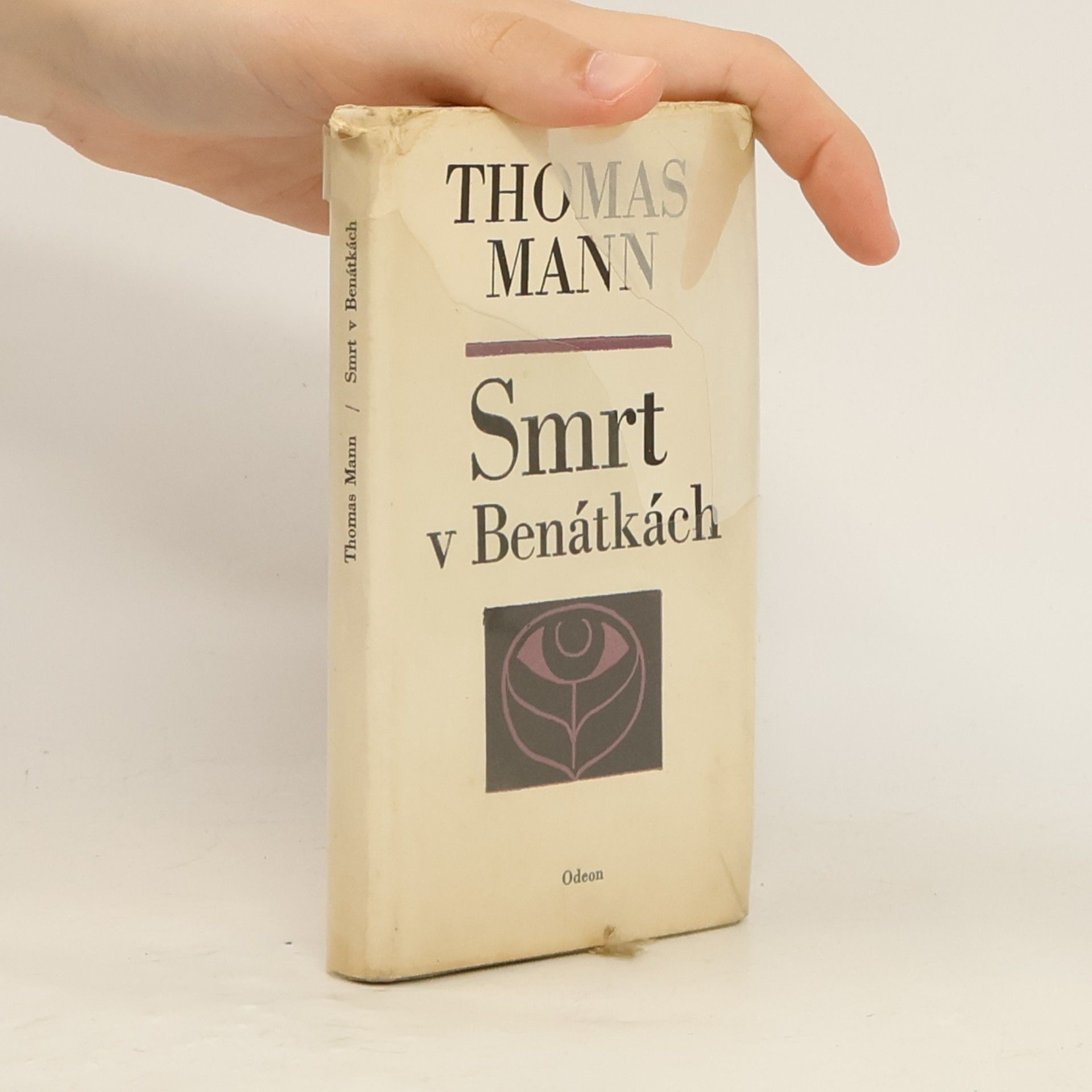 Thomas Mann Smrt v Benátkách