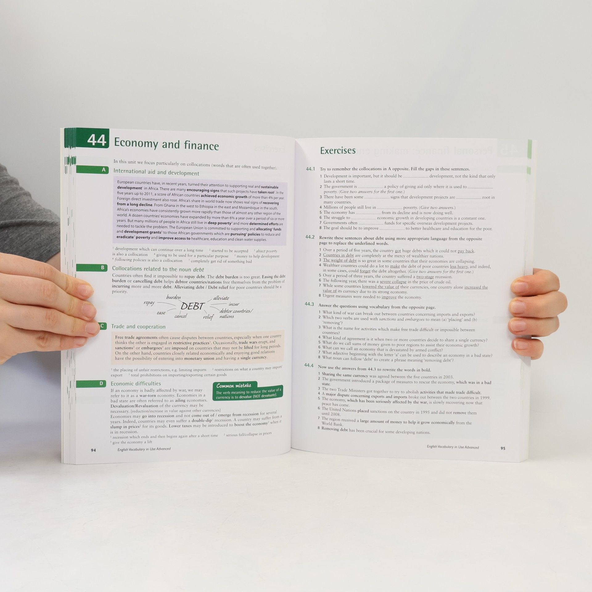 Michael McCarthy English vocabulary in use. Advanced