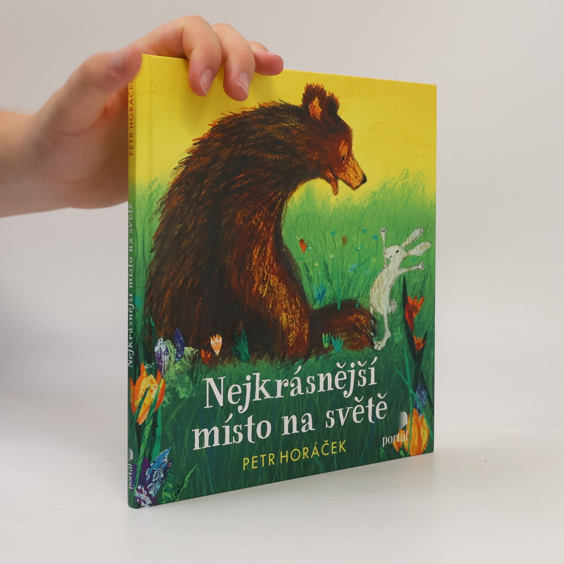 Horacek Petr Nejkrásnější místo na světě
