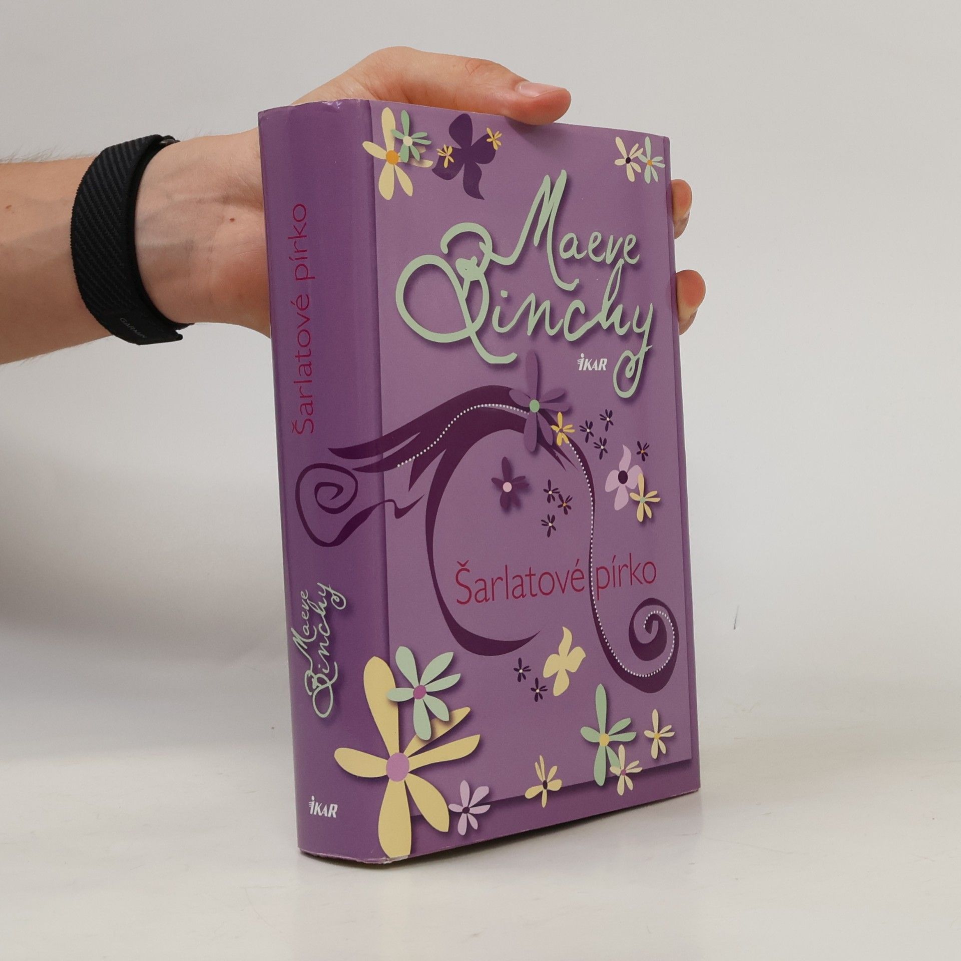 Maeve Binchy Šarlatové pírko