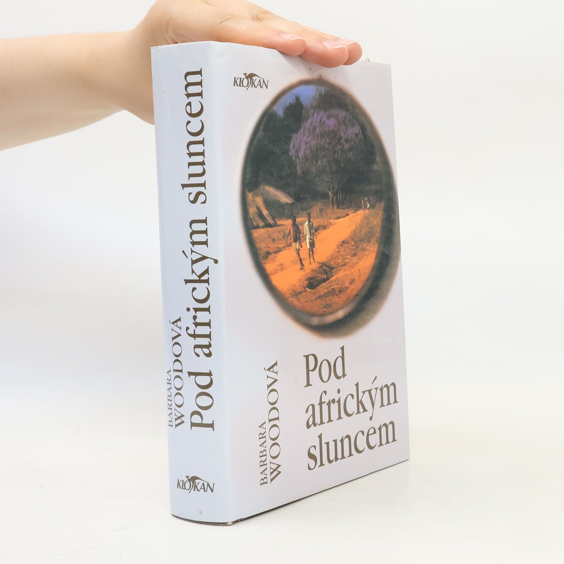 Barbara Wood Pod africkým sluncem