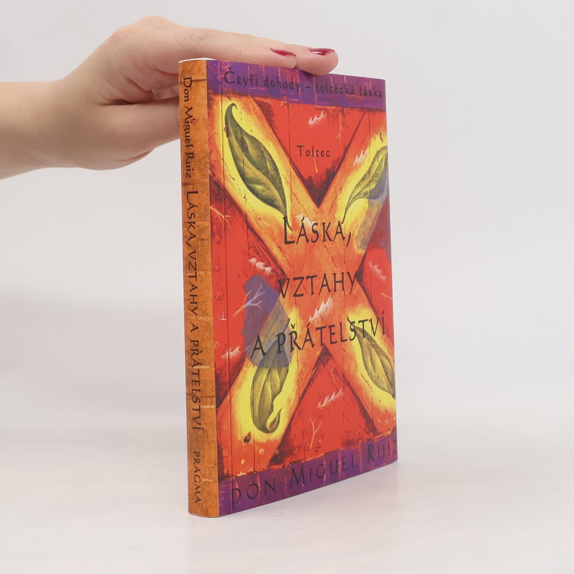 Don Miguel Ruiz Láska, vztahy a přátelství