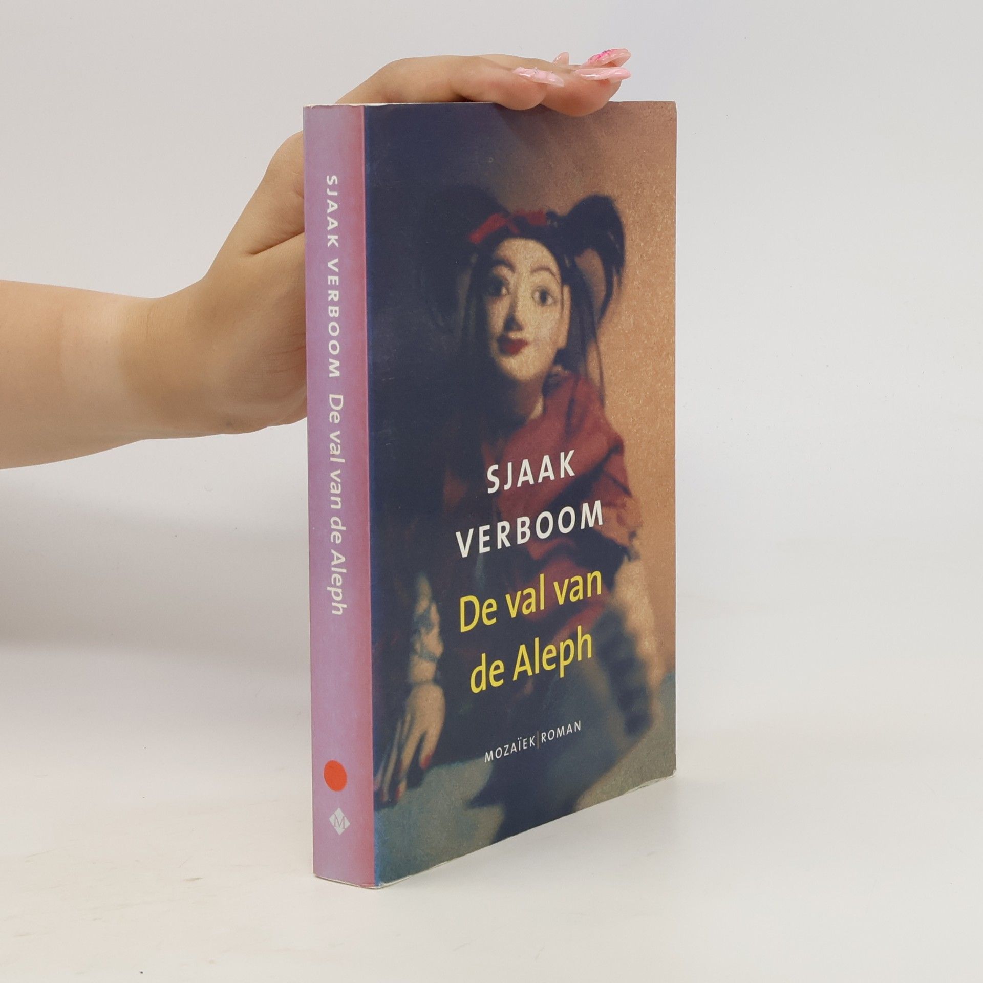 Sjaak Verboom De val van de Aleph / druk 1