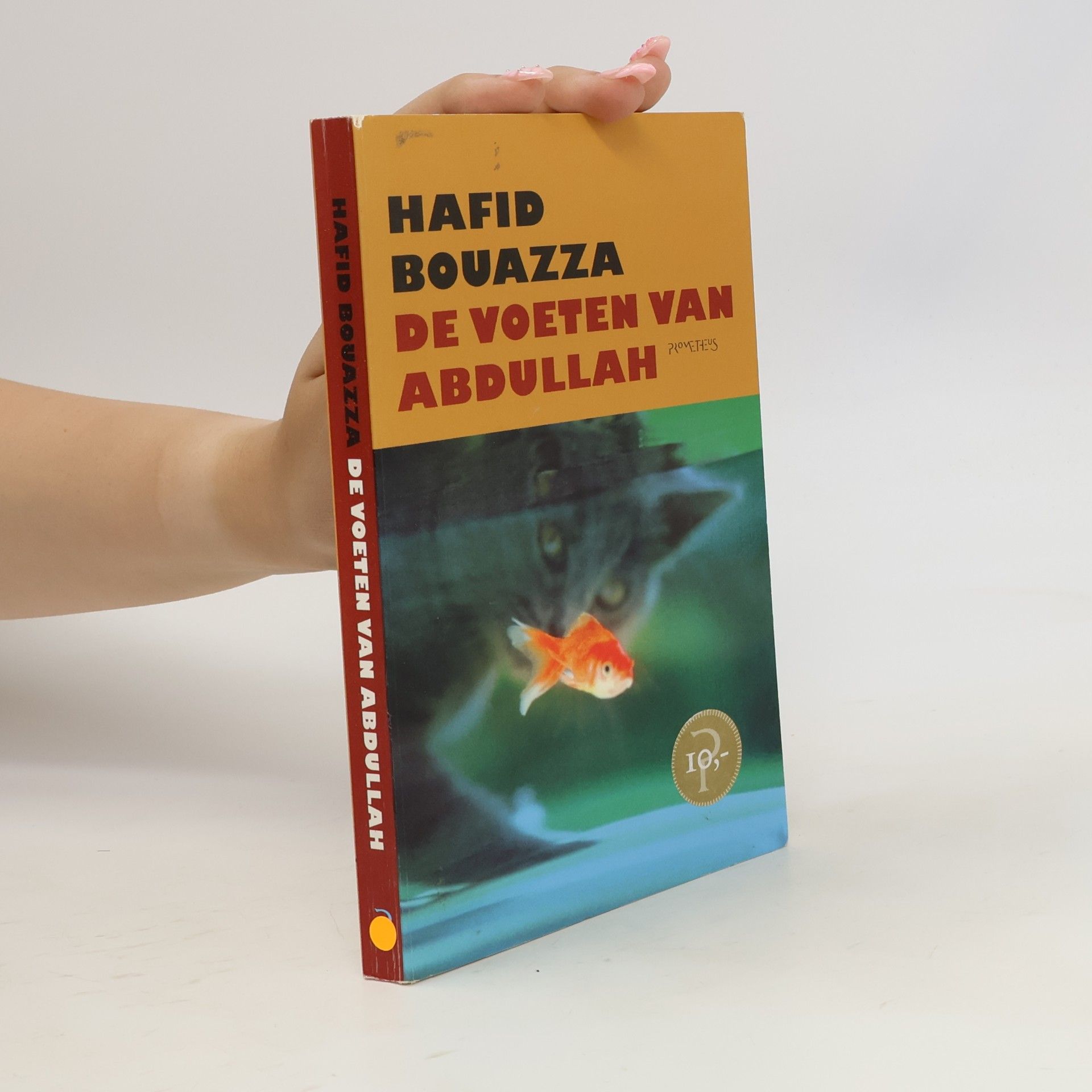 Hafid Bouazza De voeten van Abdullah