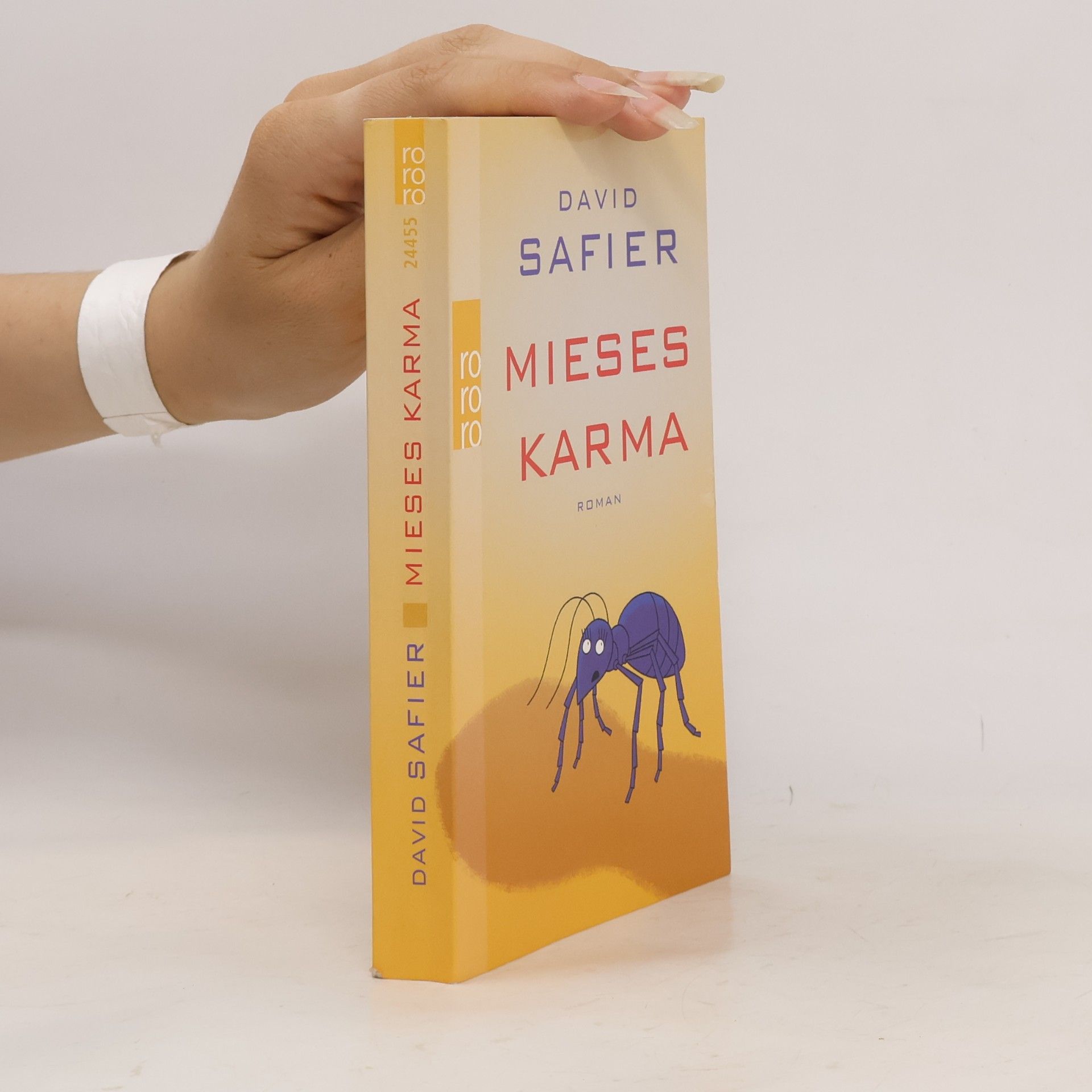 David Safier Mieses Karma