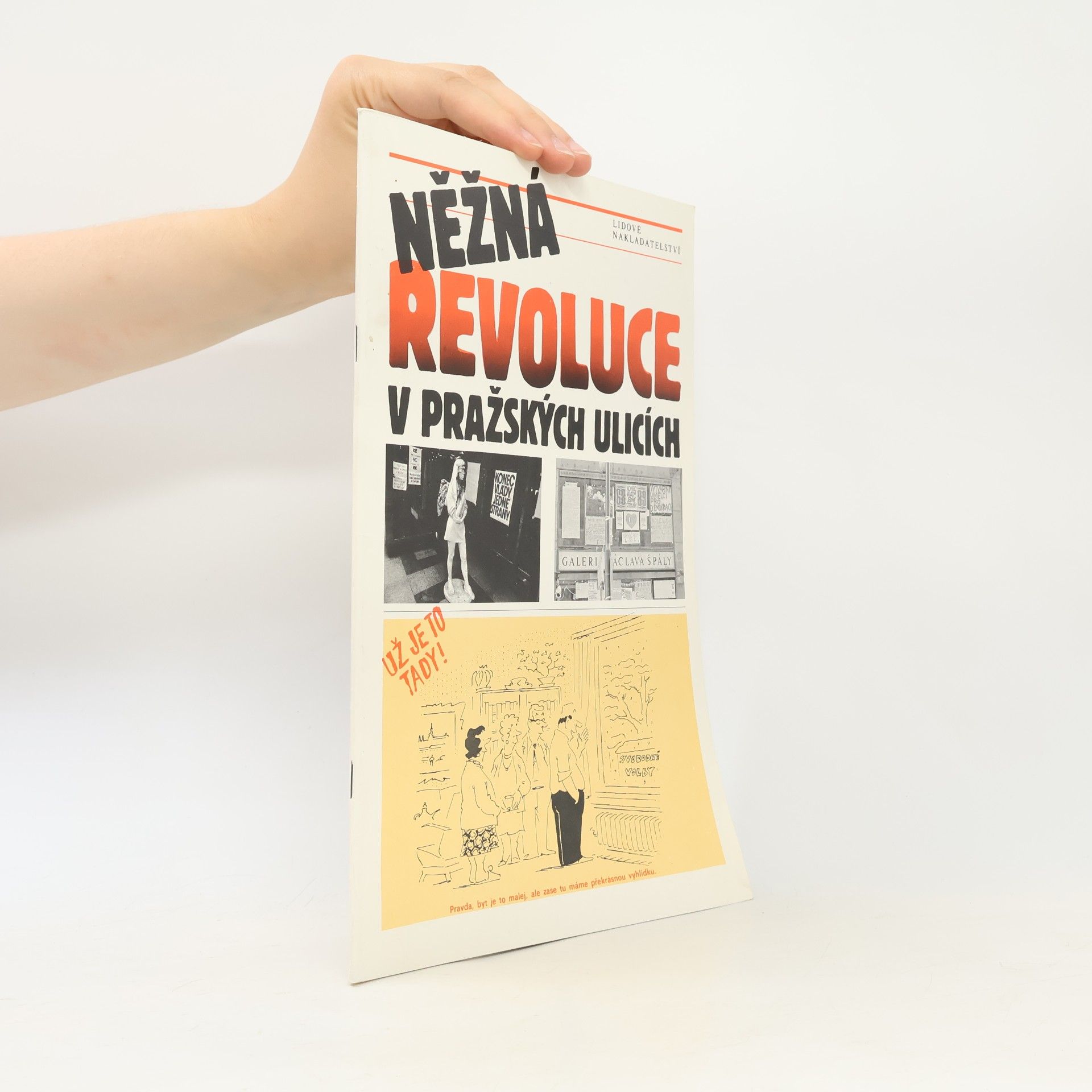 František Heřman Něžná revoluce v pražských ulicích