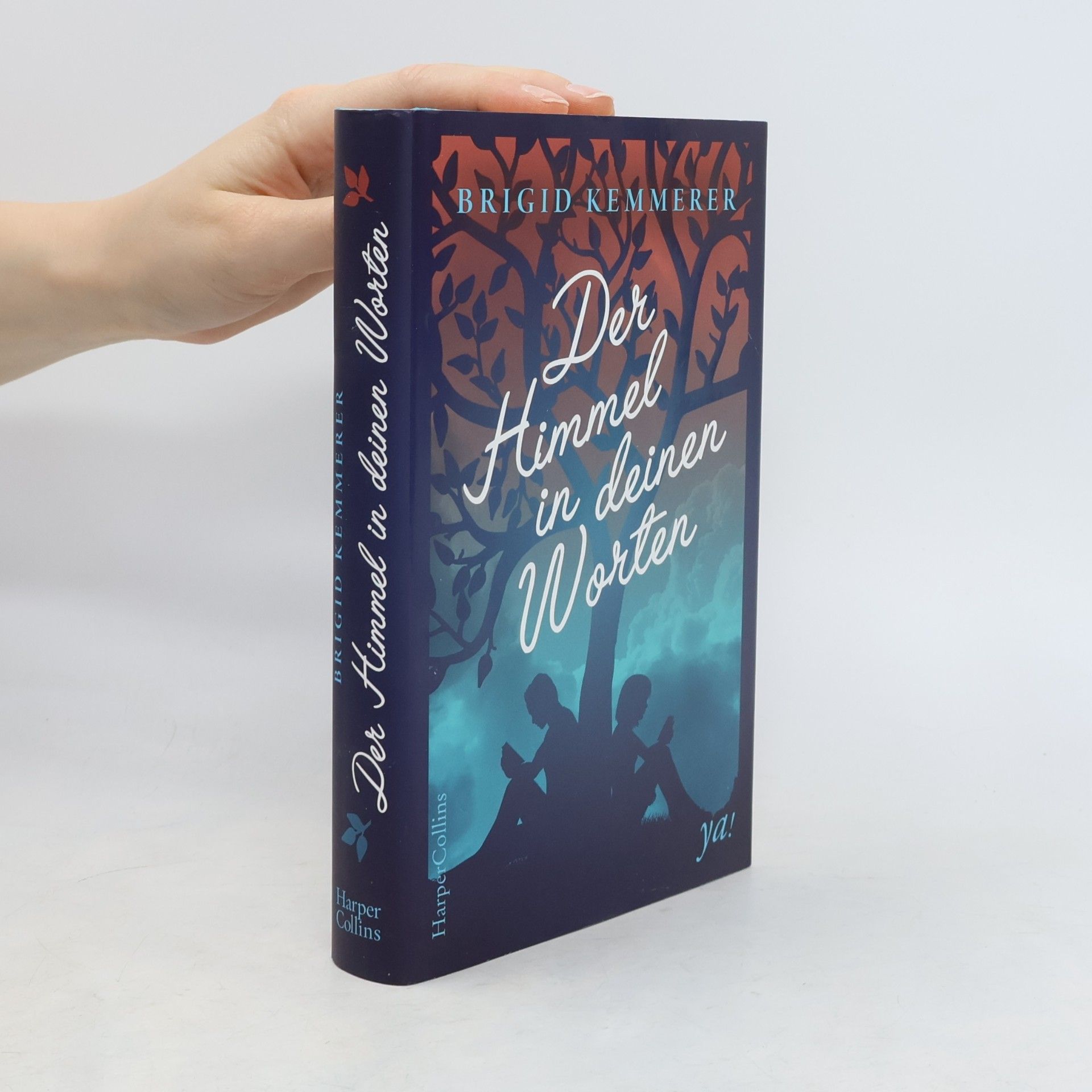 Brigid Kemmerer Der Himmel in deinen Worten
