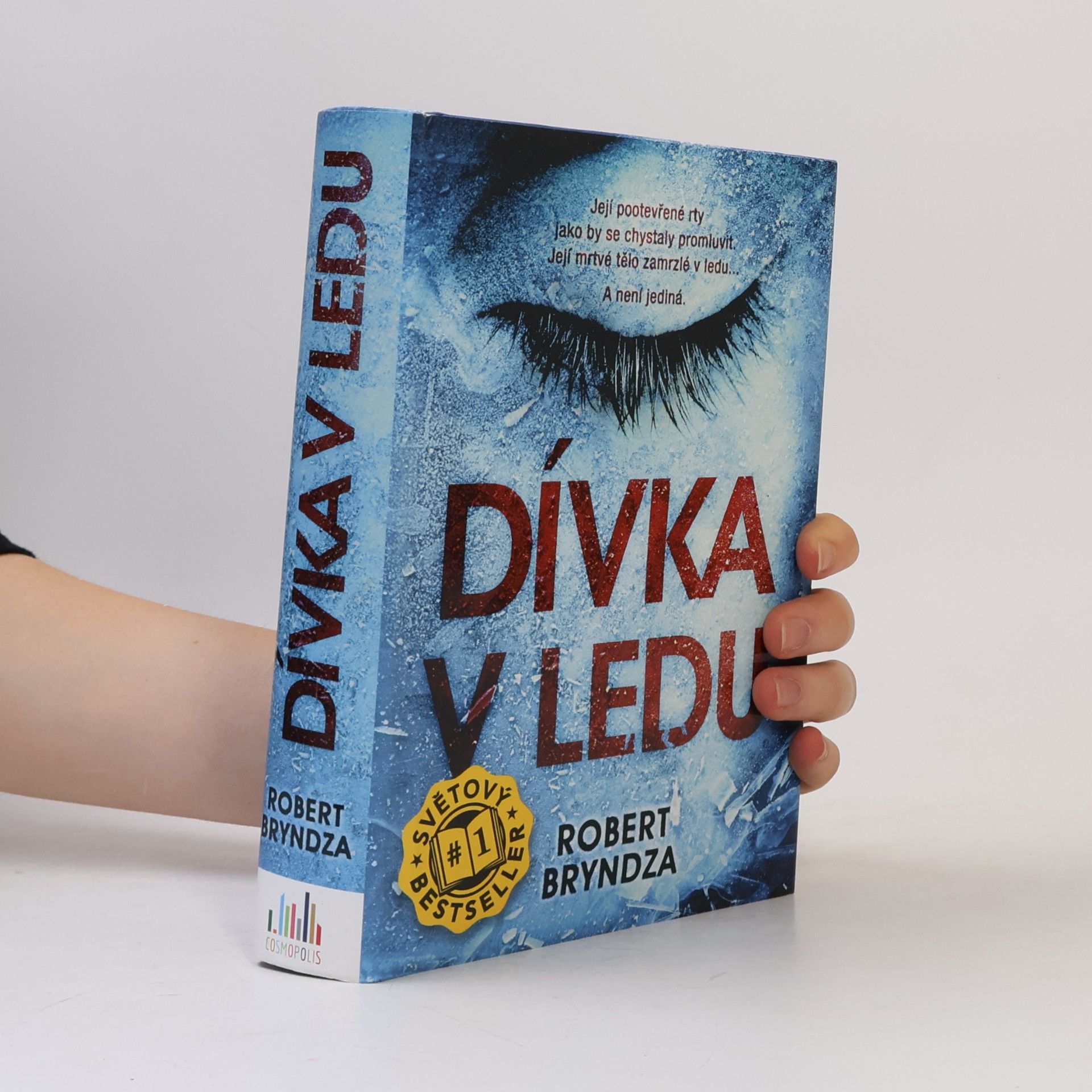 Robert Bryndza Dívka v ledu