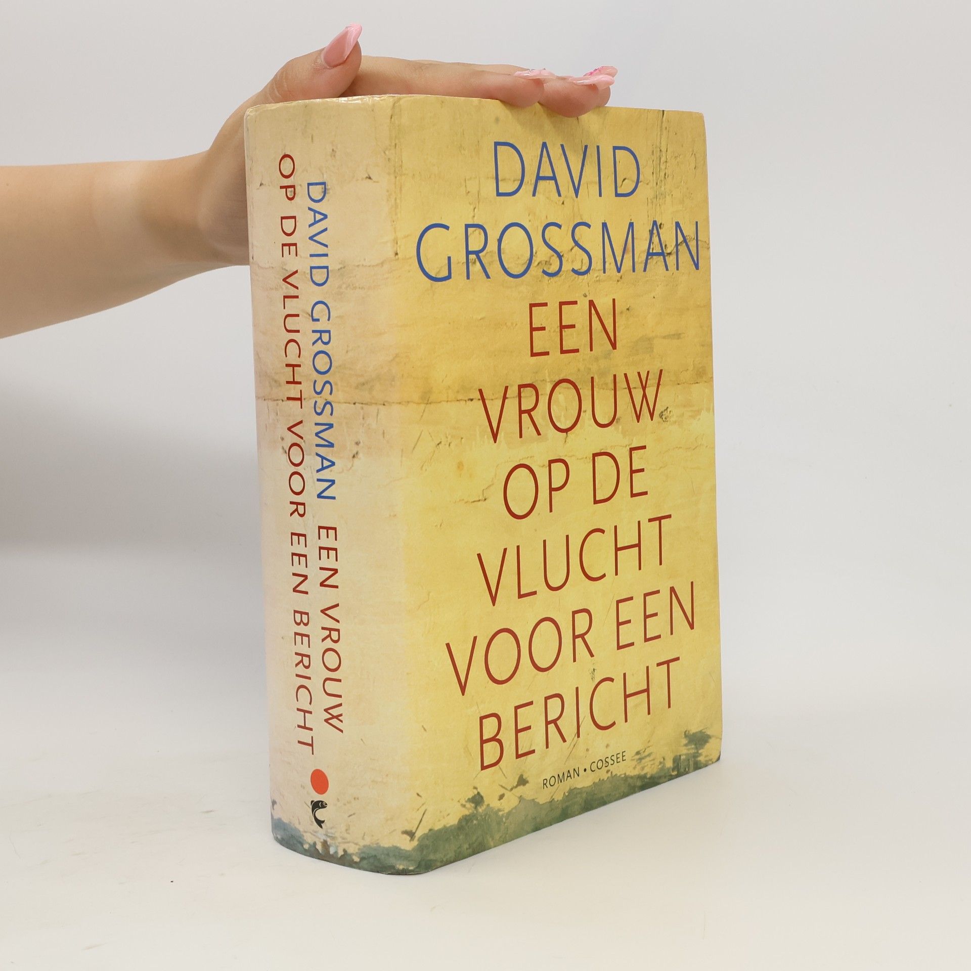 David Grossman Een vrouw op de vlucht voor een bericht