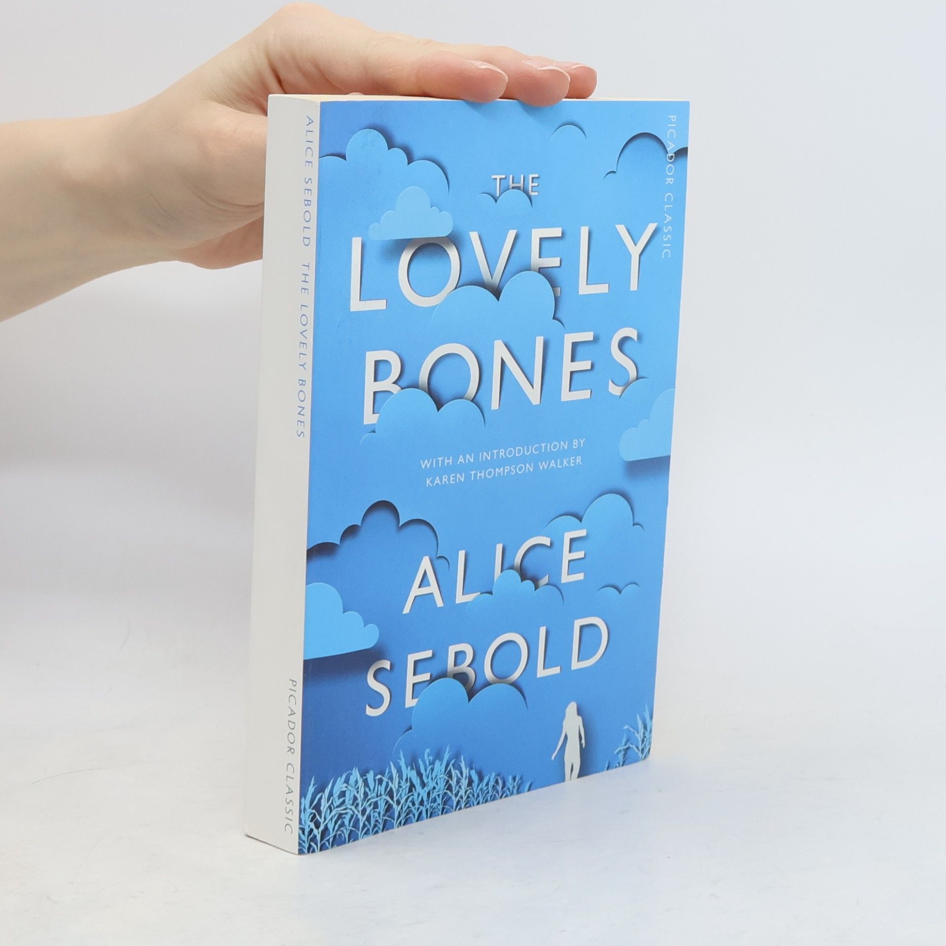 Alice Sebold The Lovely Bones