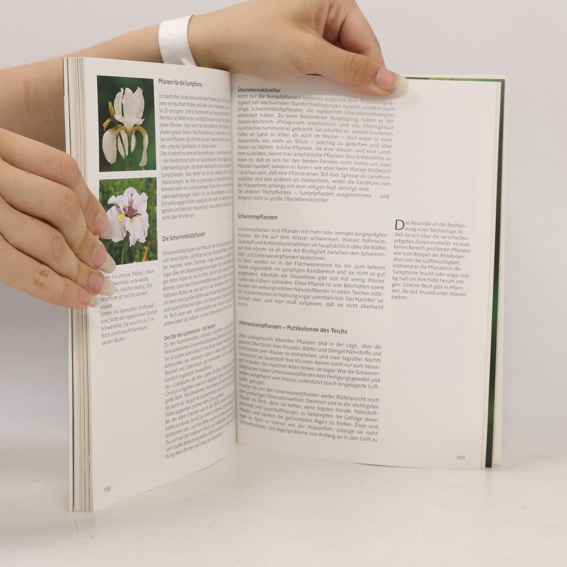 Peter Stademann Gartenteich