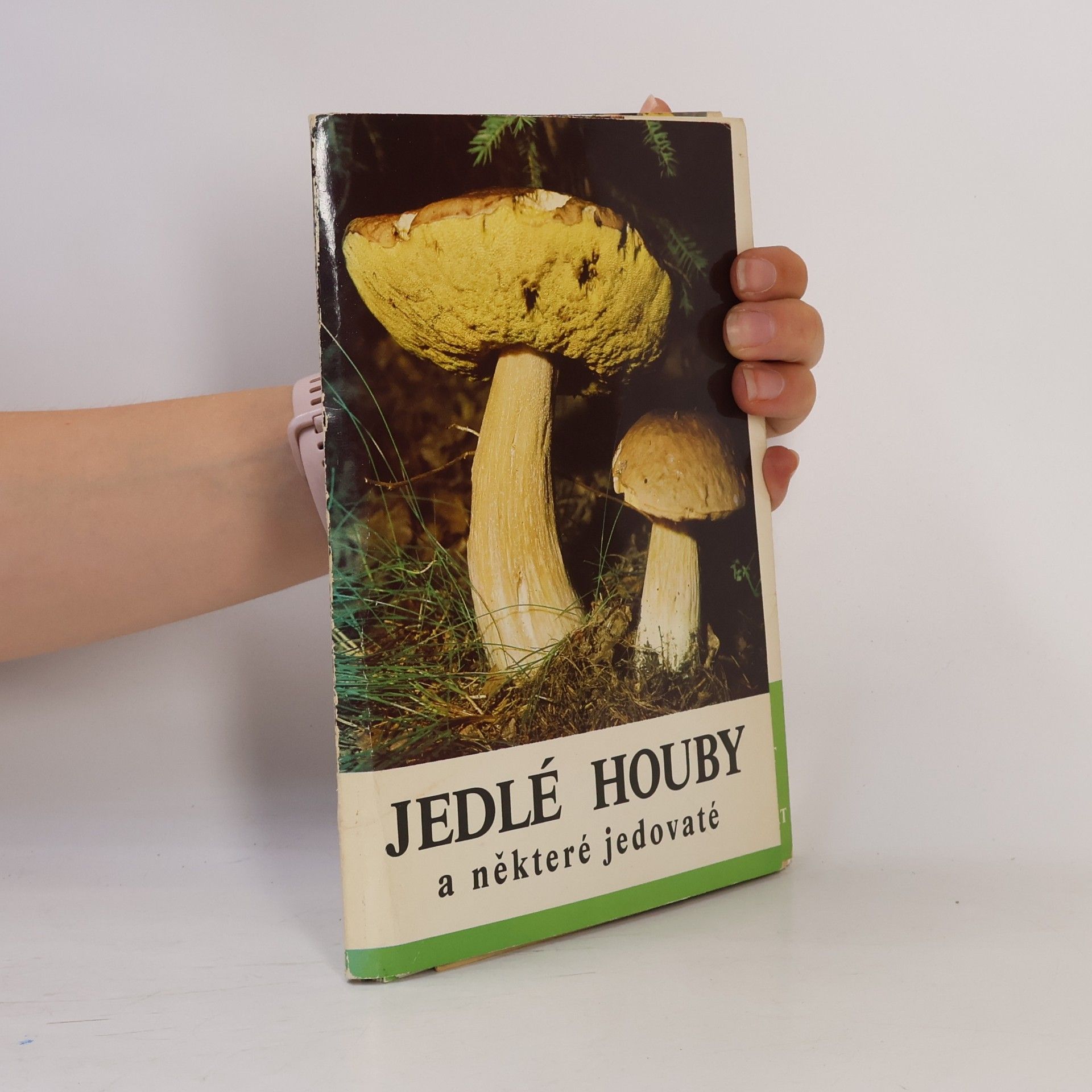 Karel Kult Jedlé houby a některé jedovaté