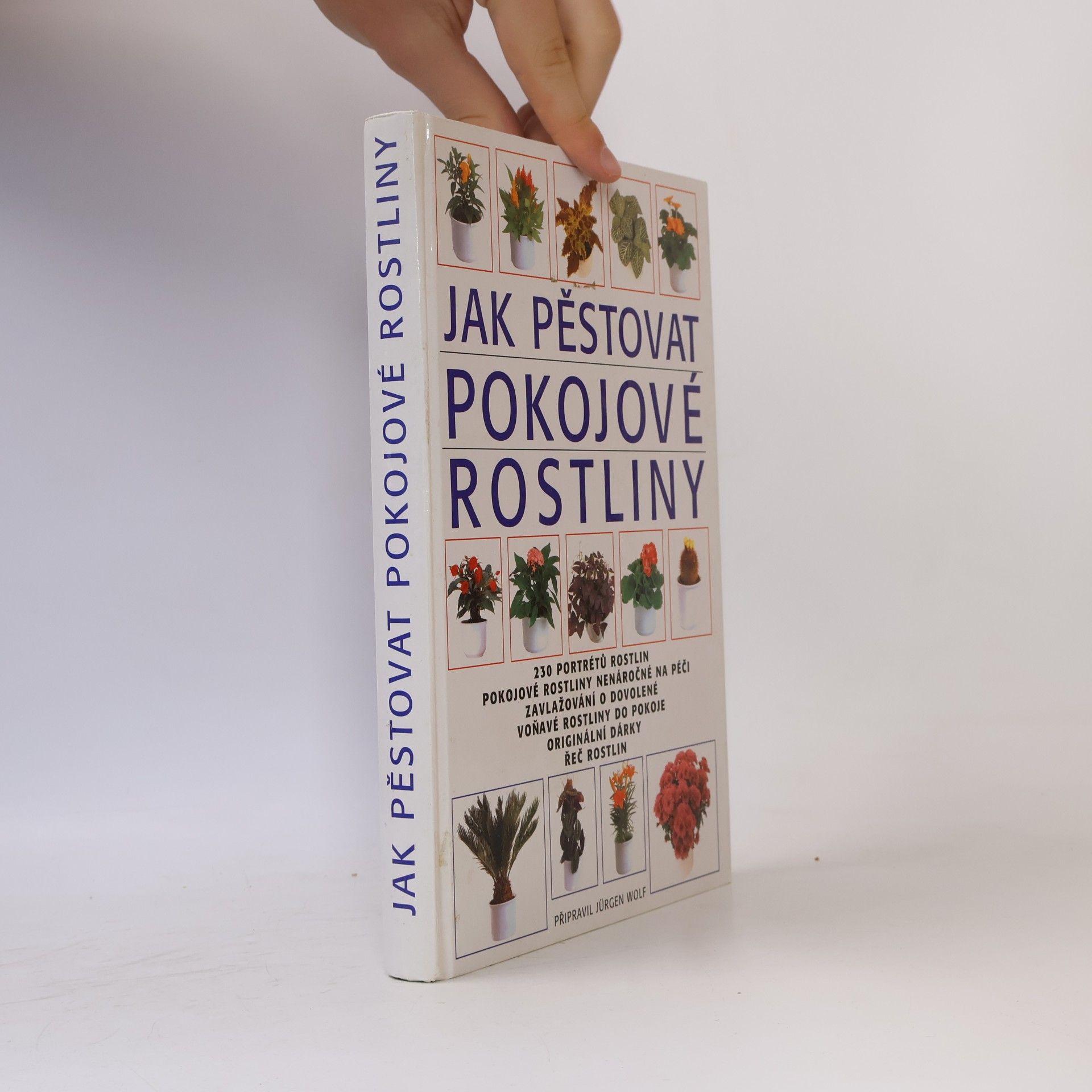 Jürgen Wolff Jak pěstovat pokojové rostliny