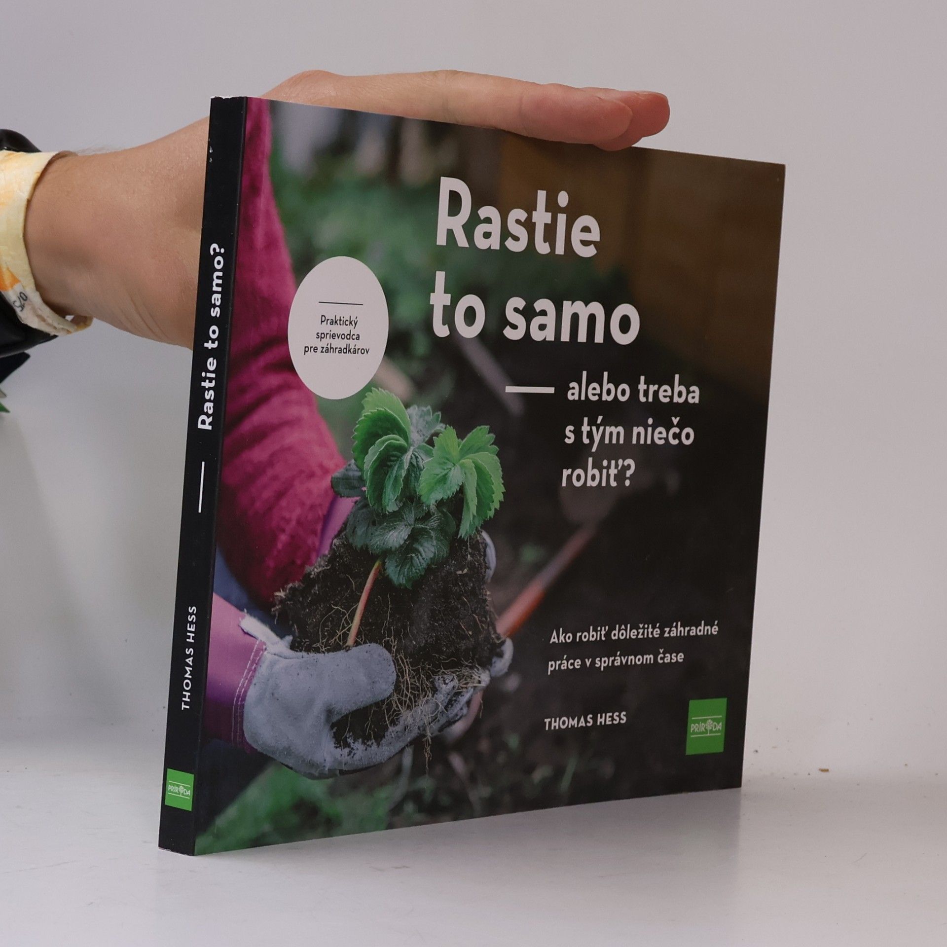 Thomas Hess Rastie to samo