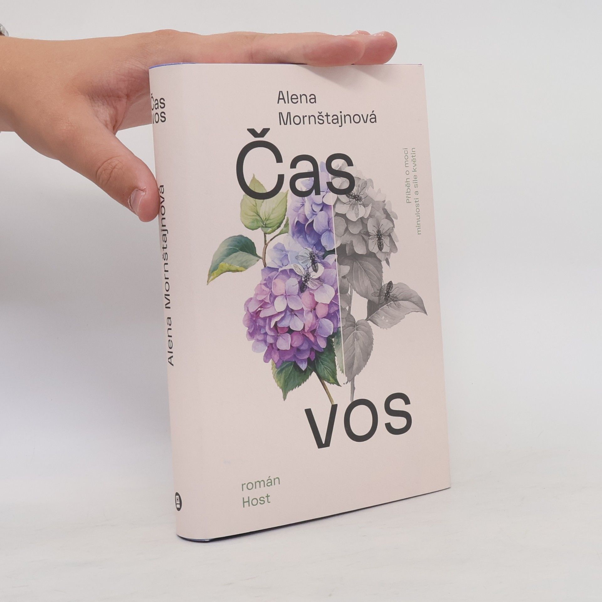Alena Mornštajnová Čas vos