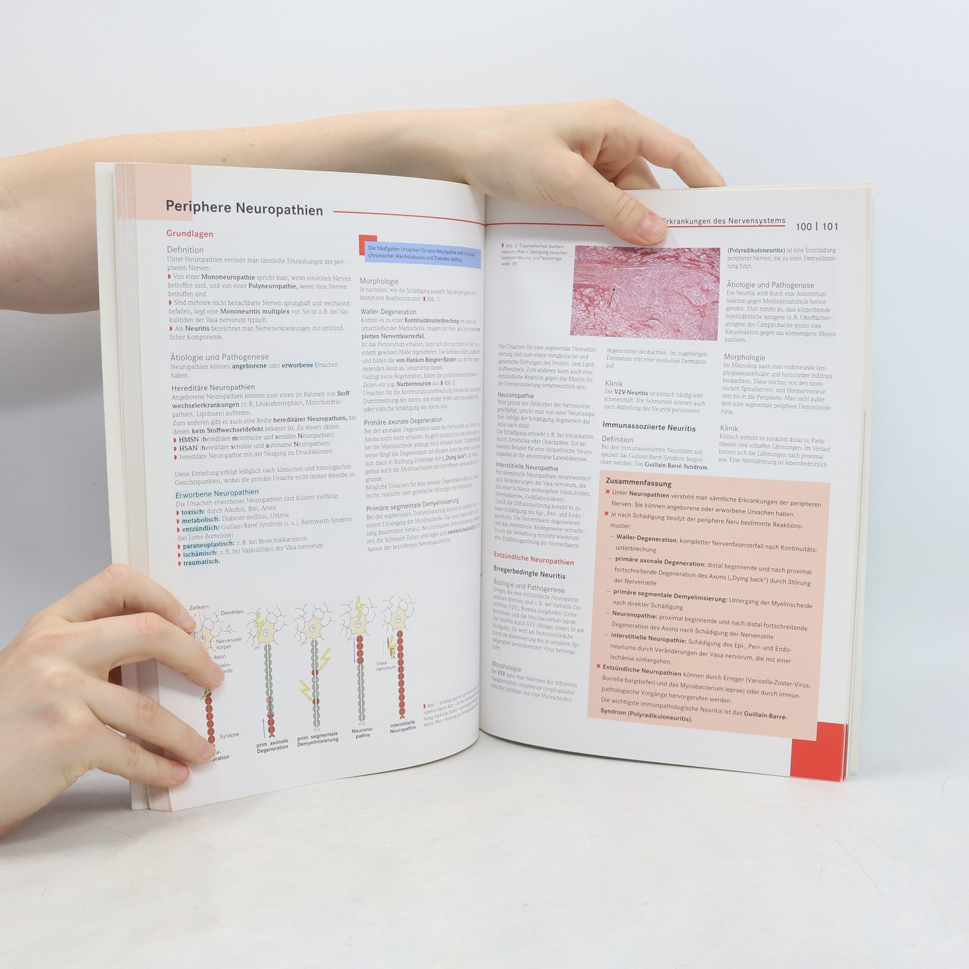 Johanna Margraf Basics spezielle Pathologie