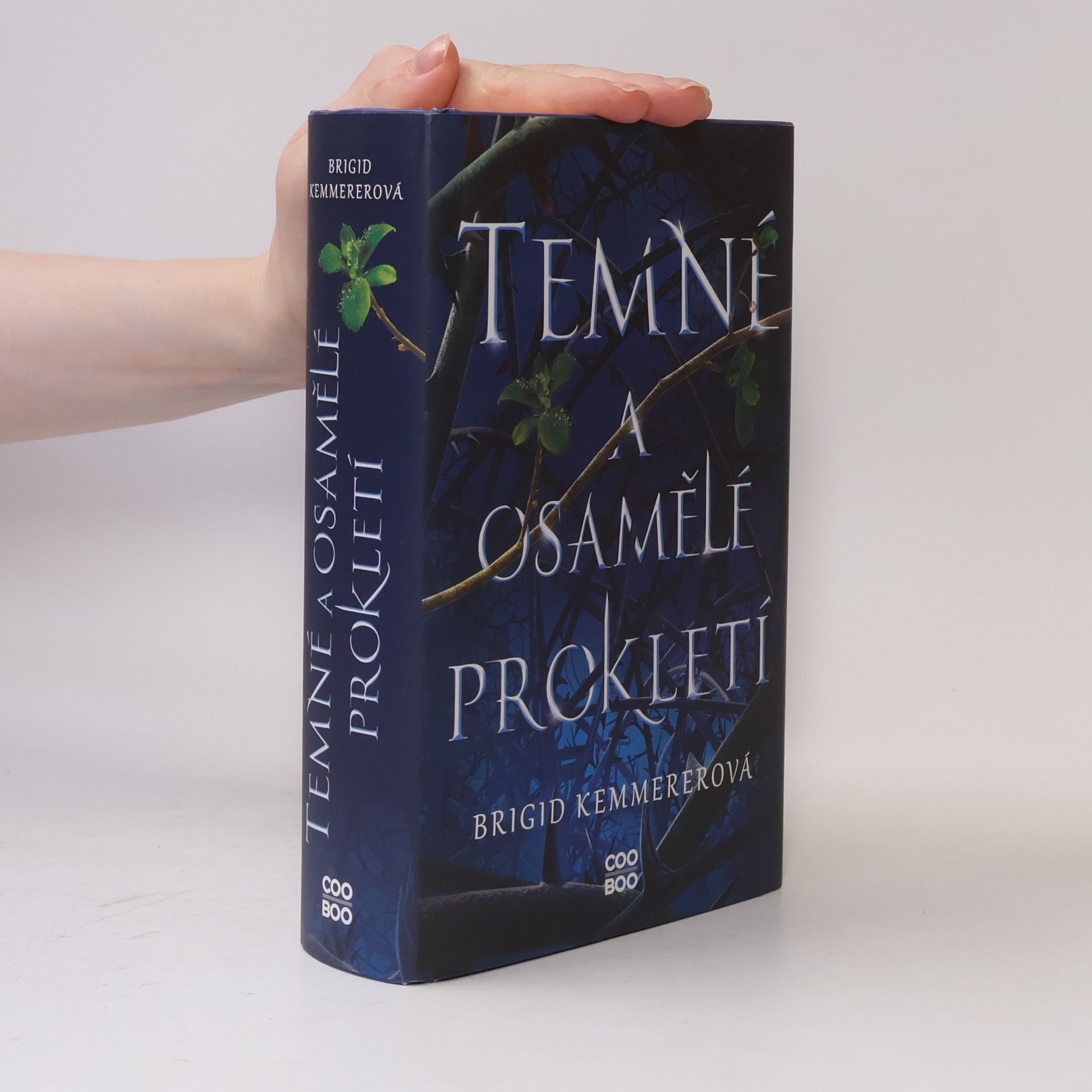 Brigid Kemmerer Temné a osamělé prokletí