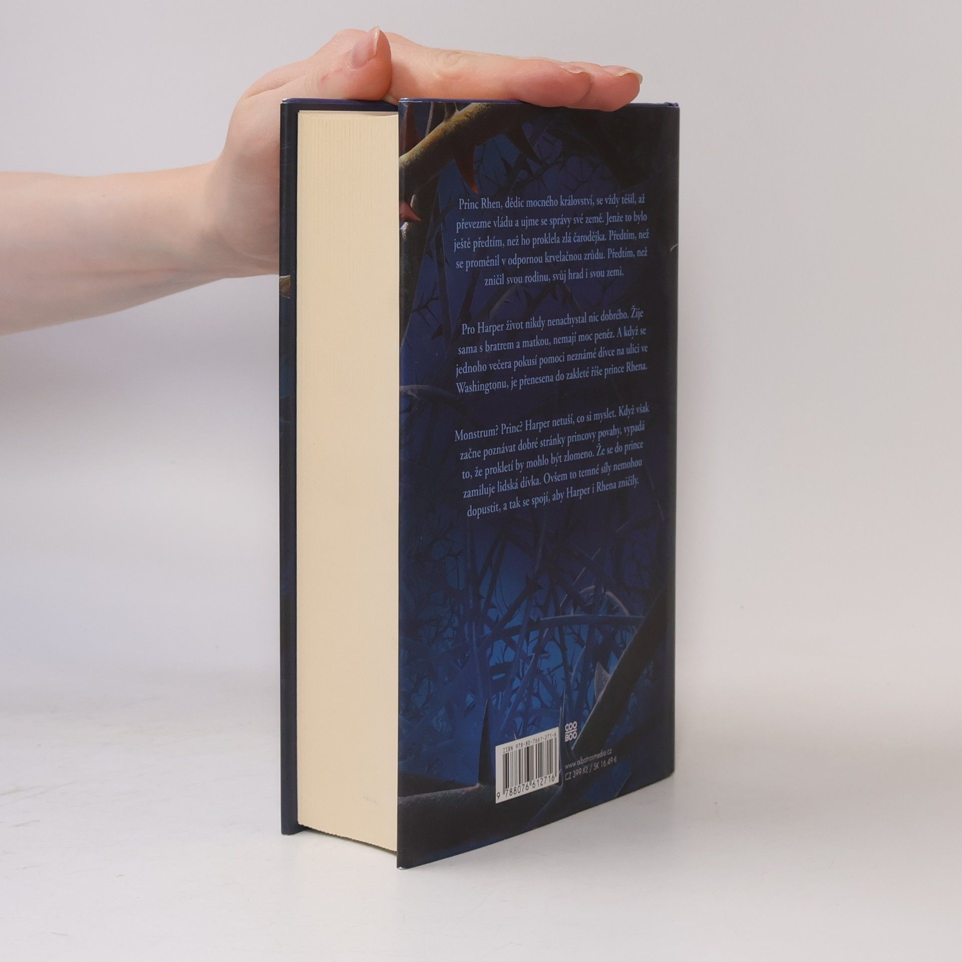 Brigid Kemmerer Temné a osamělé prokletí