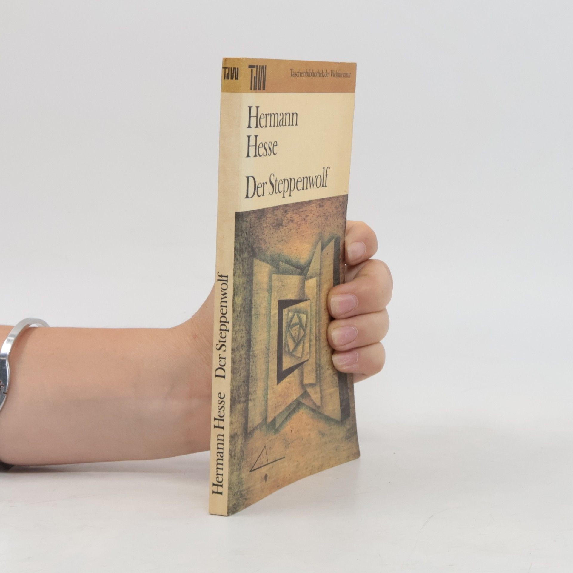 Hermann Hesse Der Steppenwolf