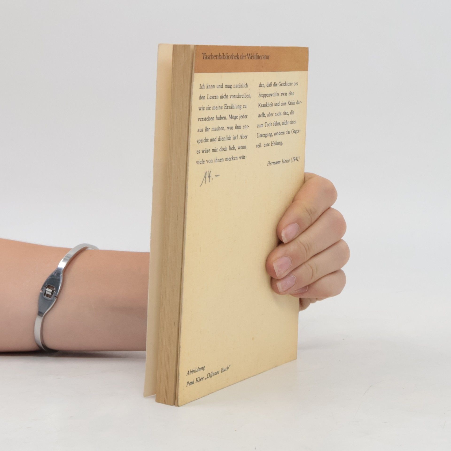 Hermann Hesse Der Steppenwolf