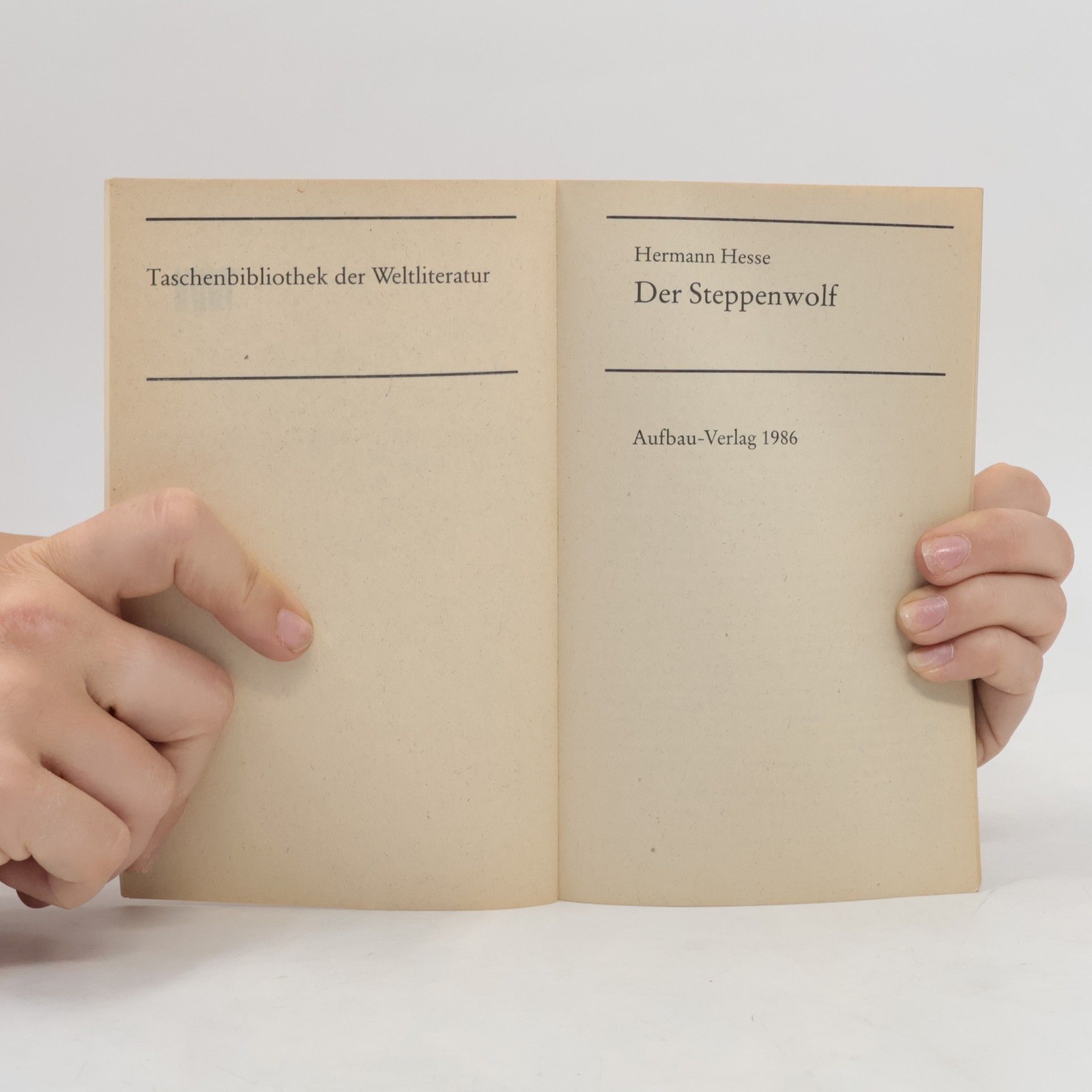 Hermann Hesse Der Steppenwolf