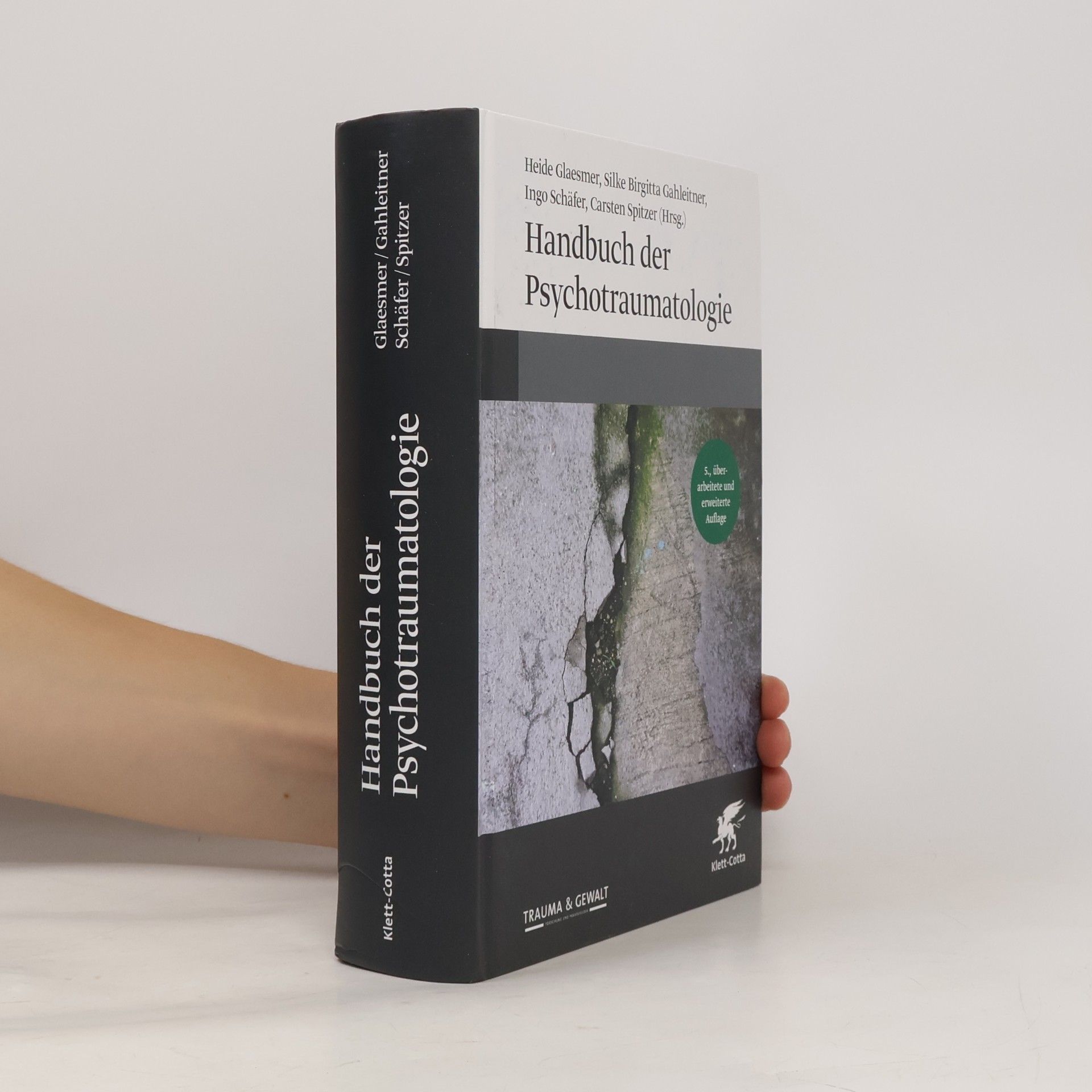 Ingo Schäfer Handbuch der Psychotraumatologie