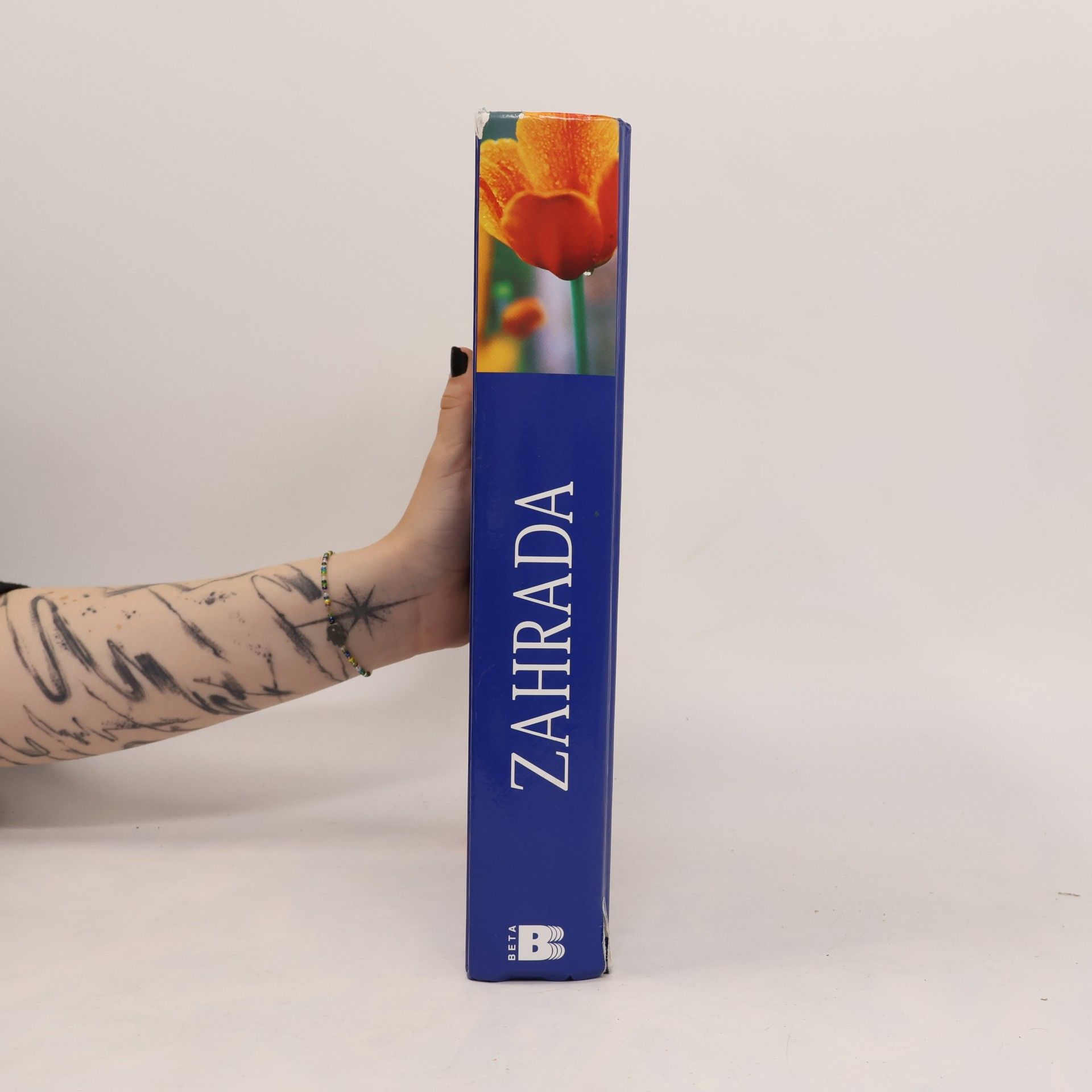 Autores varios Zahrada : velký domácí rádce pro krásnou a užitečnou zahradu