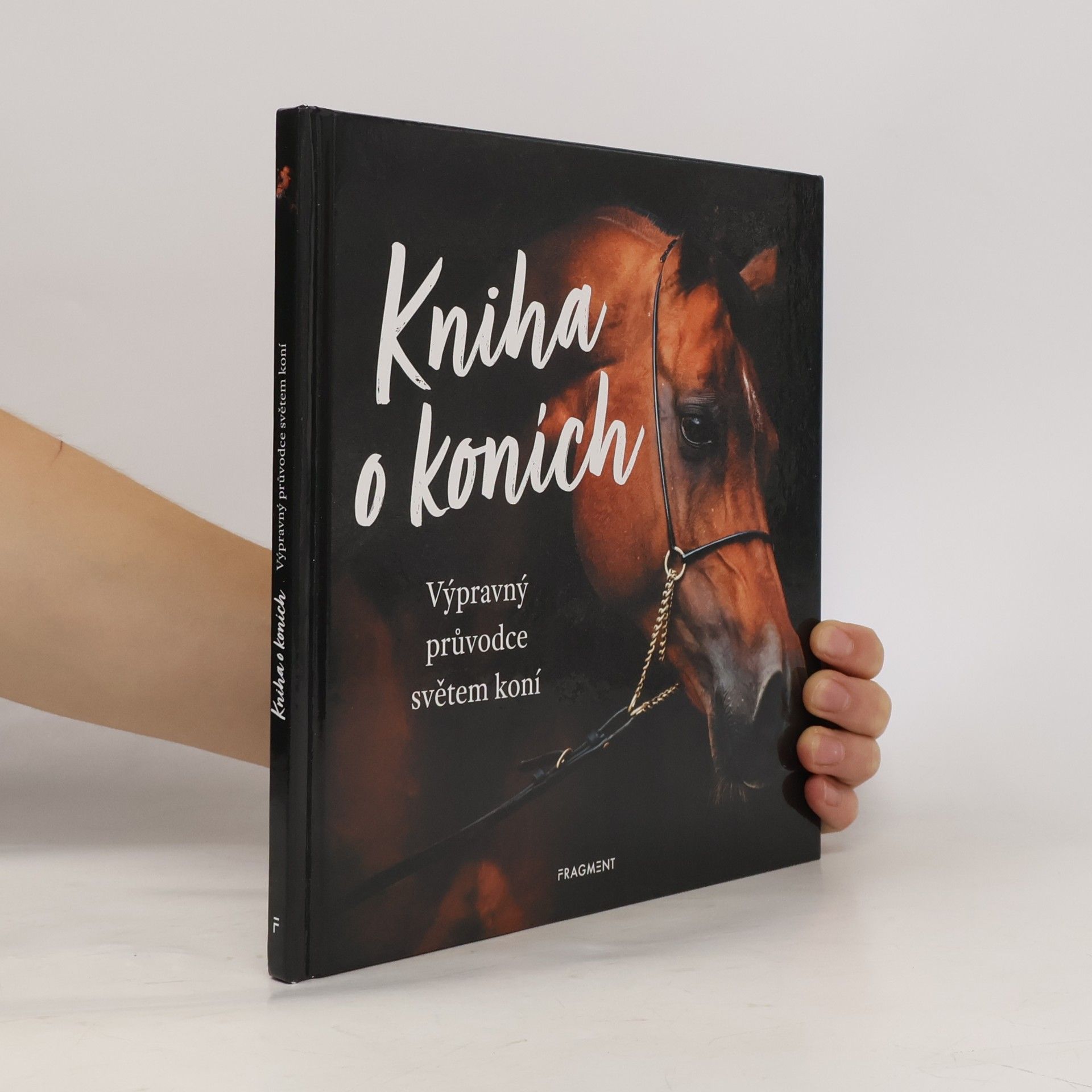 Autores varios Kniha o koních