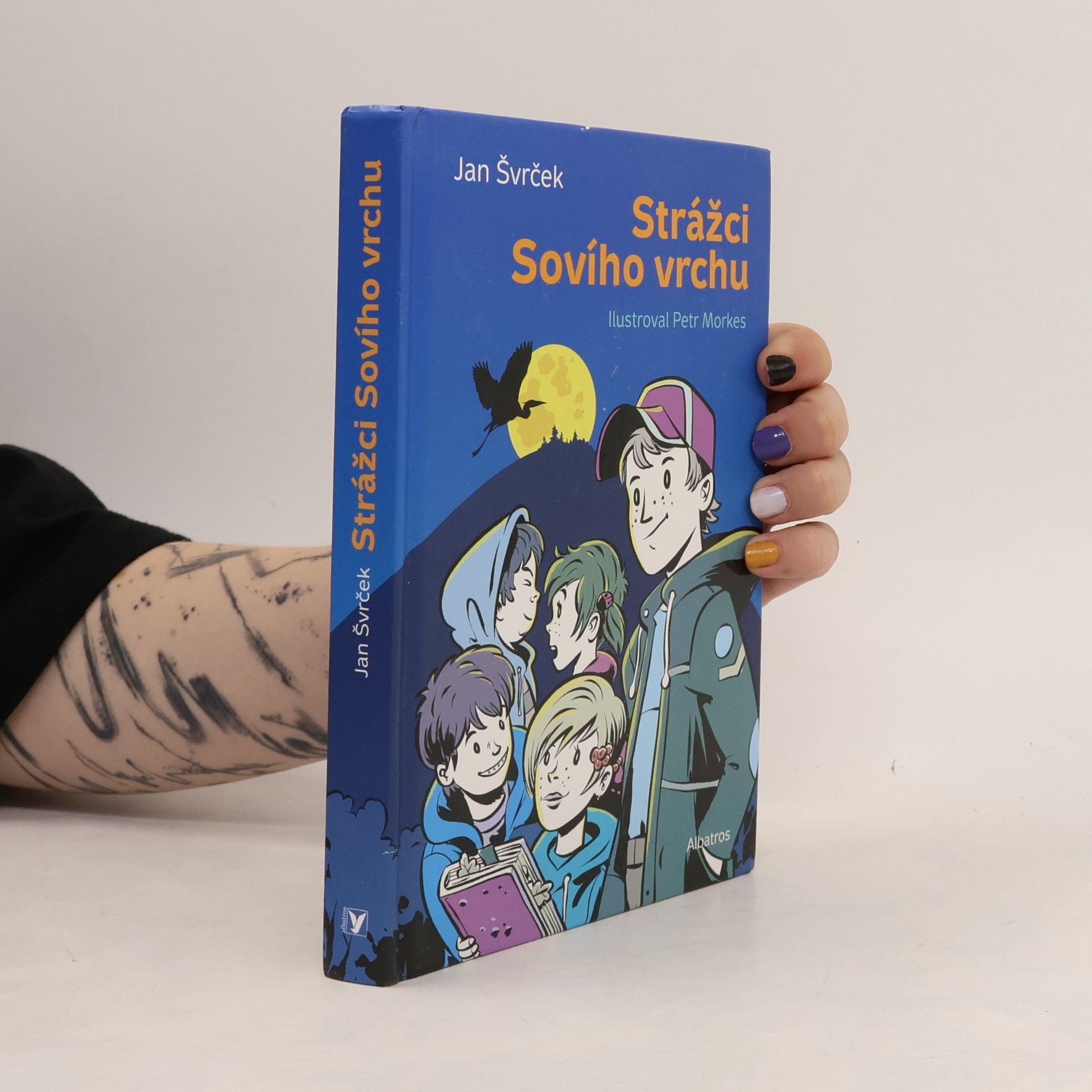 Strážci Sovího vrchu