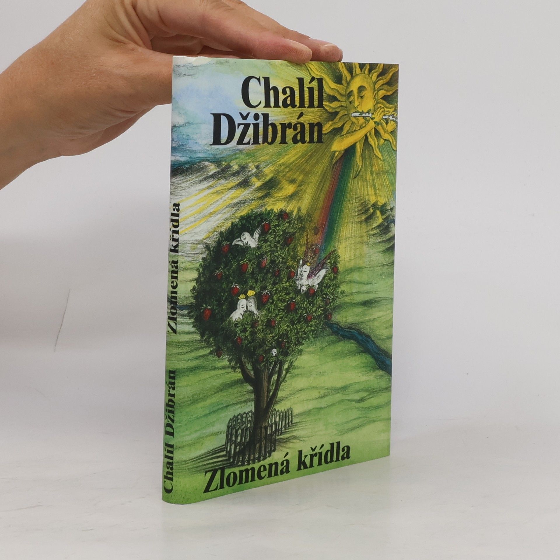 Chalíl Džibrán Zlomená křídla