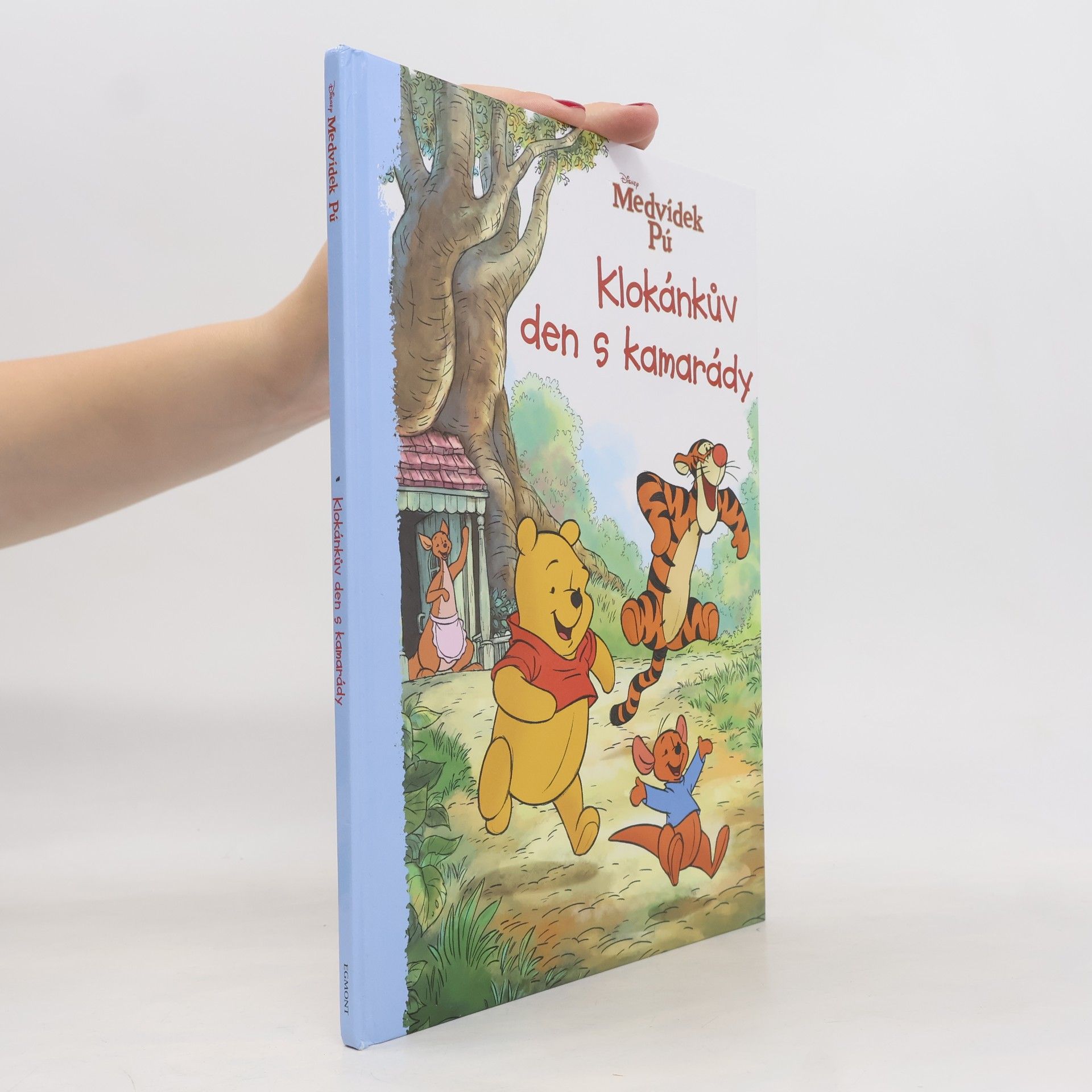 Cathy Hapka Medvídek Pú - Klokánkův den s kamarády