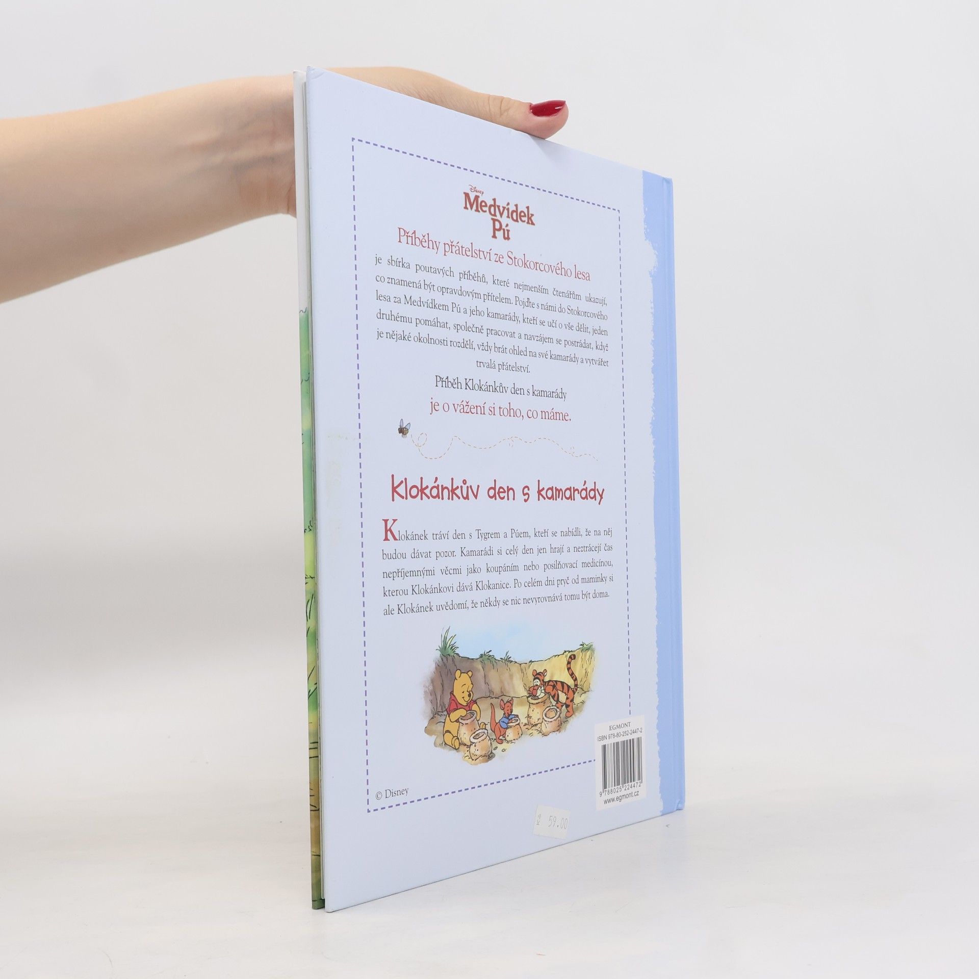 Cathy Hapka Medvídek Pú - Klokánkův den s kamarády