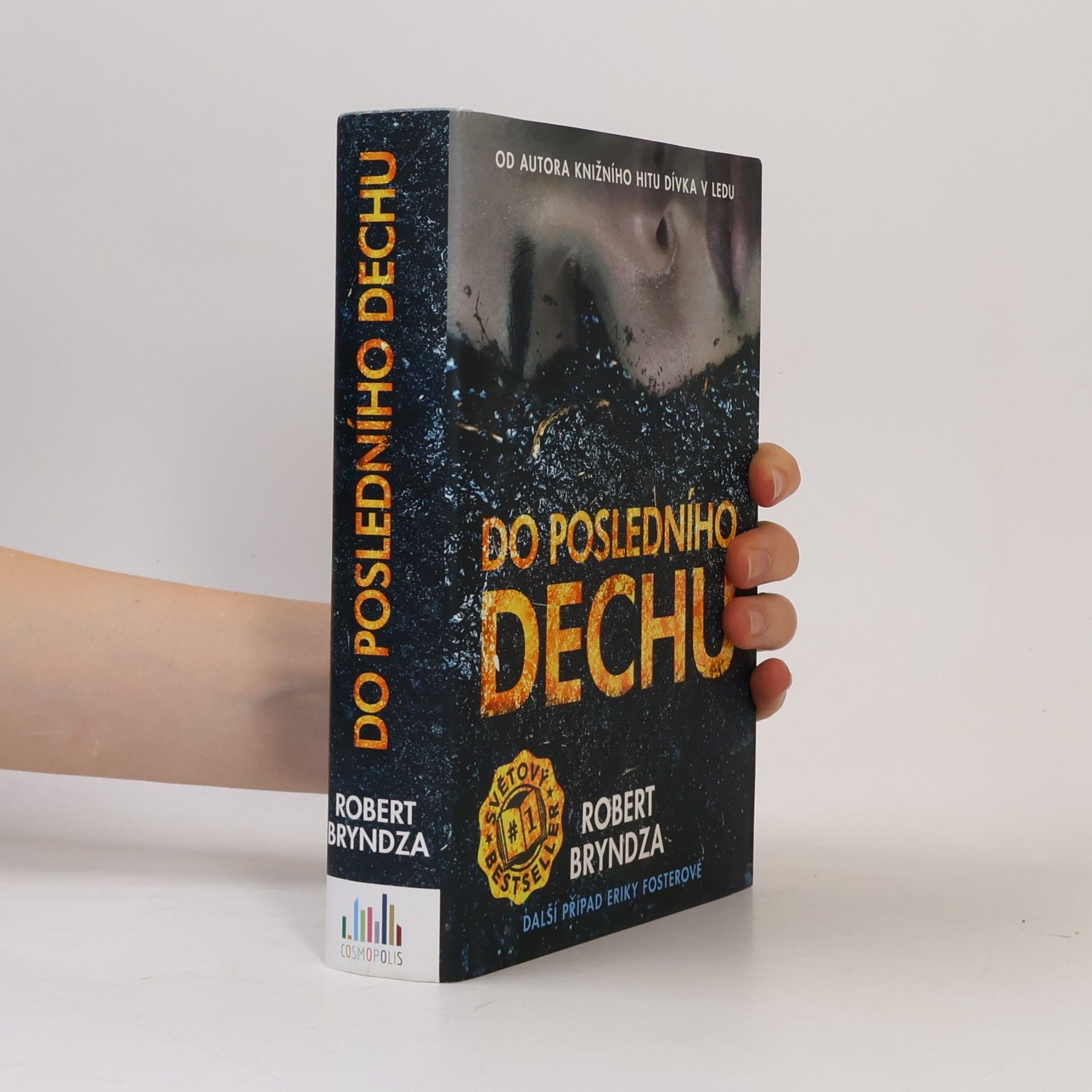 Robert Bryndza Do posledního dechu