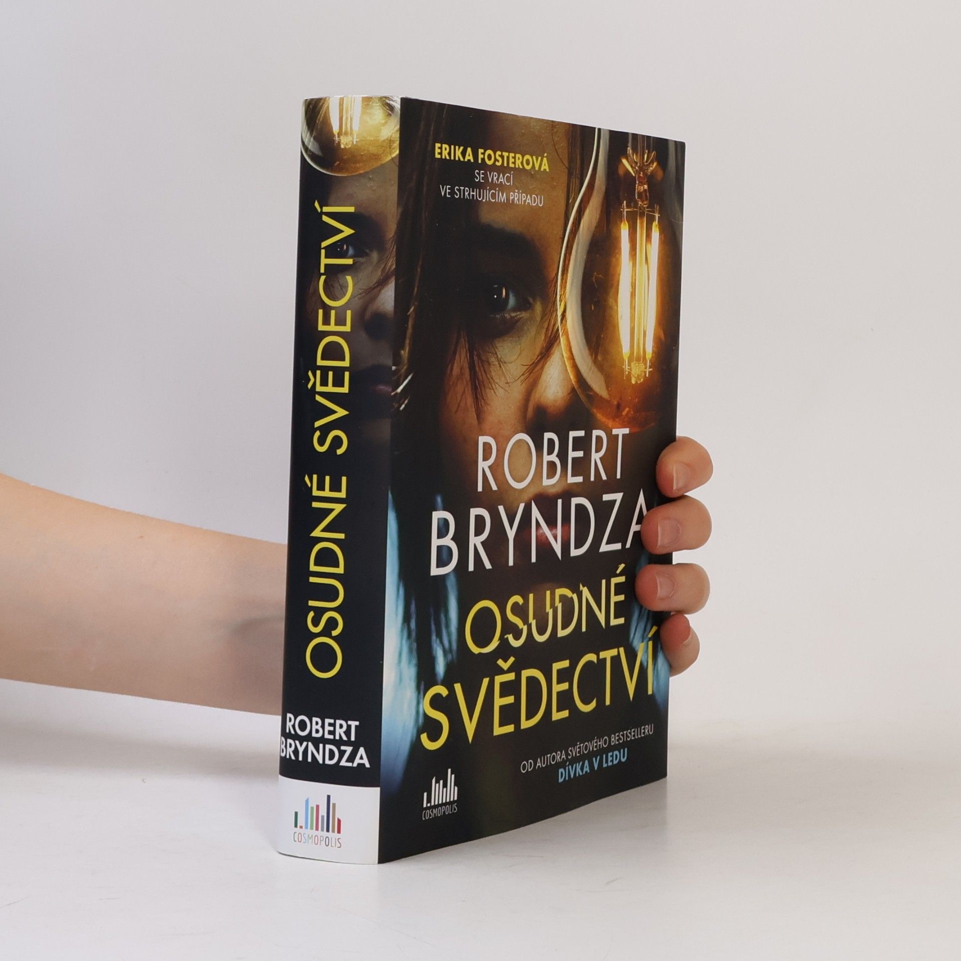 Robert Bryndza Osudné svědectví
