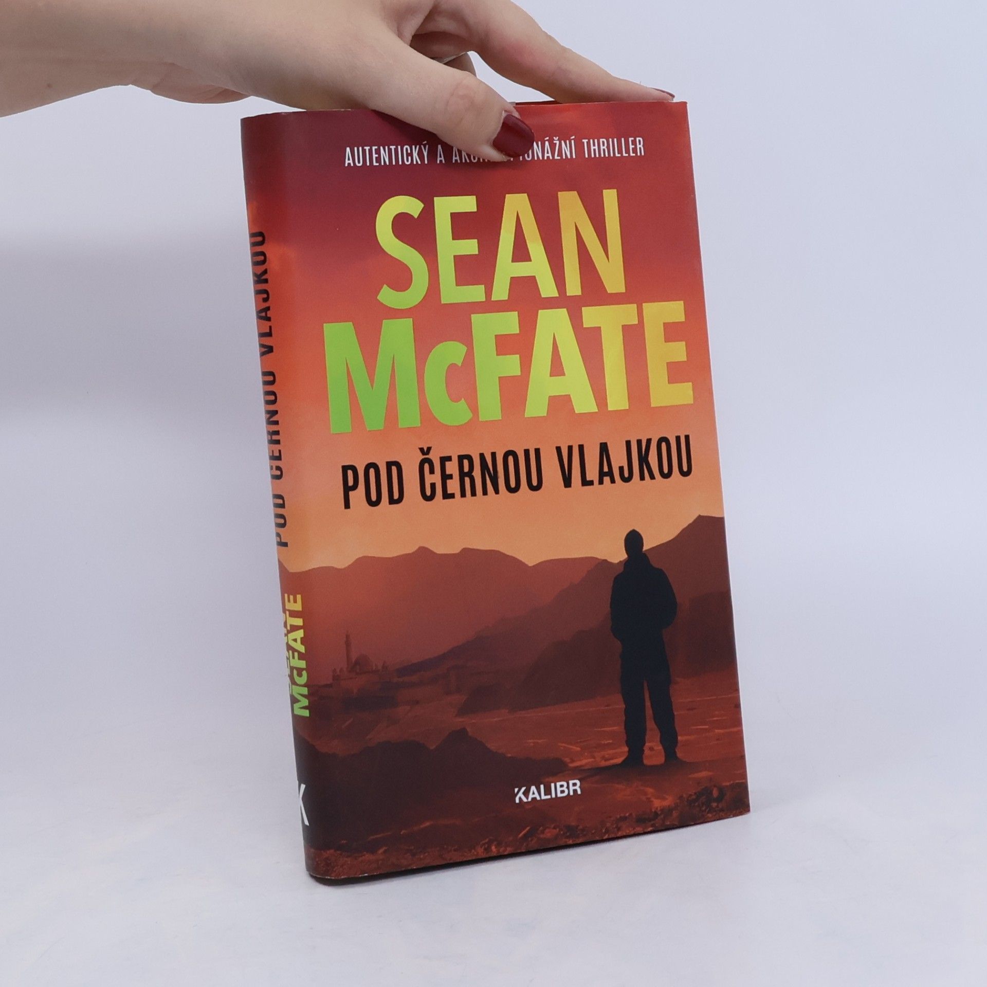 Sean McFate Pod černou vlajkou