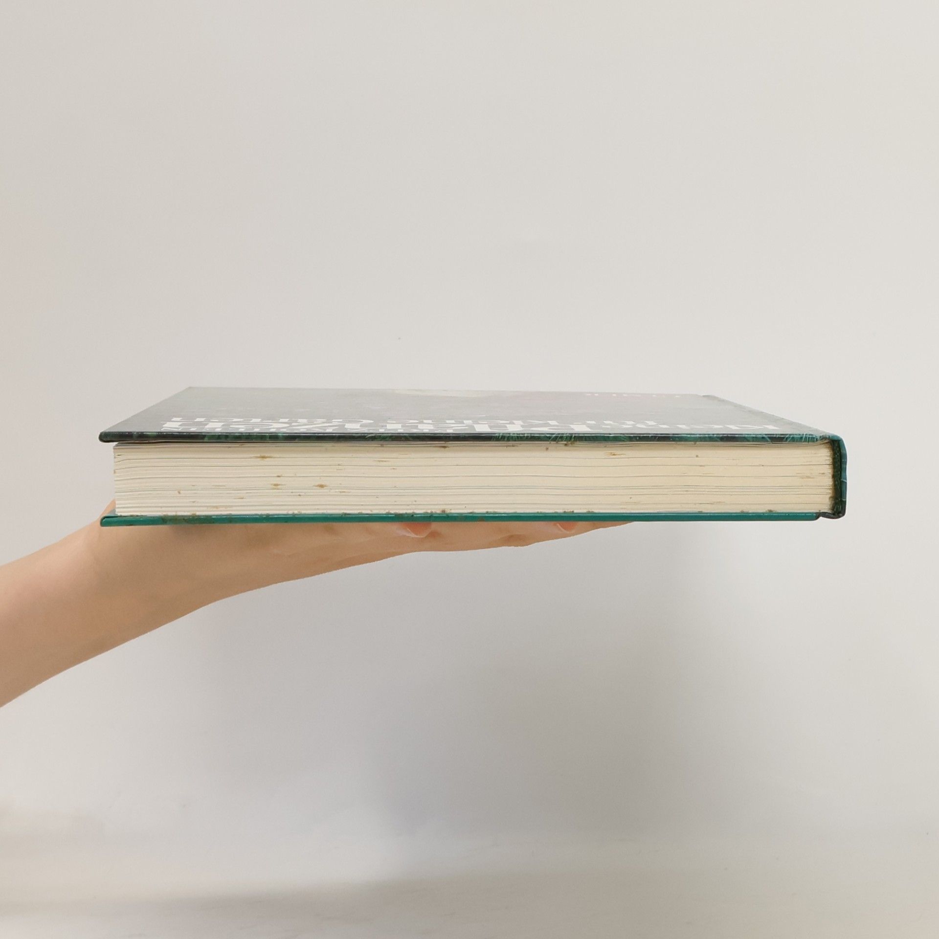 Fritz Köhlein Kleine Pflanzen für kleine Gärten