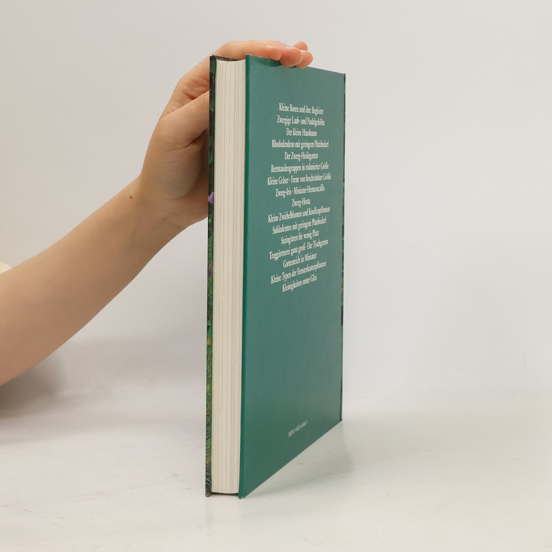 Fritz Köhlein Kleine Pflanzen für kleine Gärten